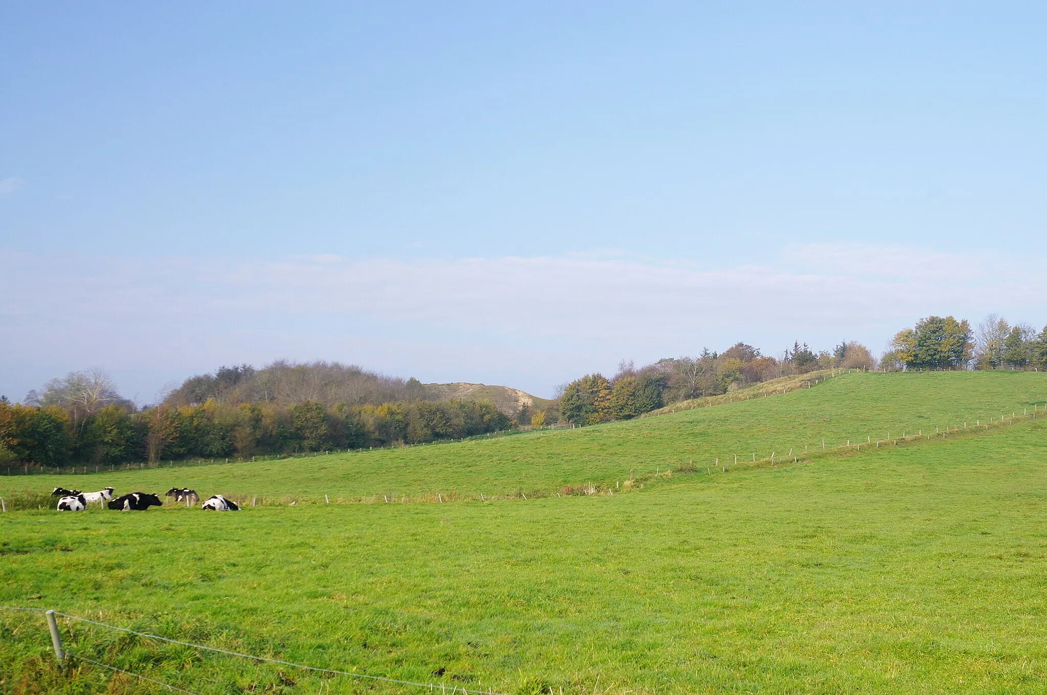 Photo showing: Landschaft in Schleswig-Holstein,

Twiebarghe bei Norderstapel