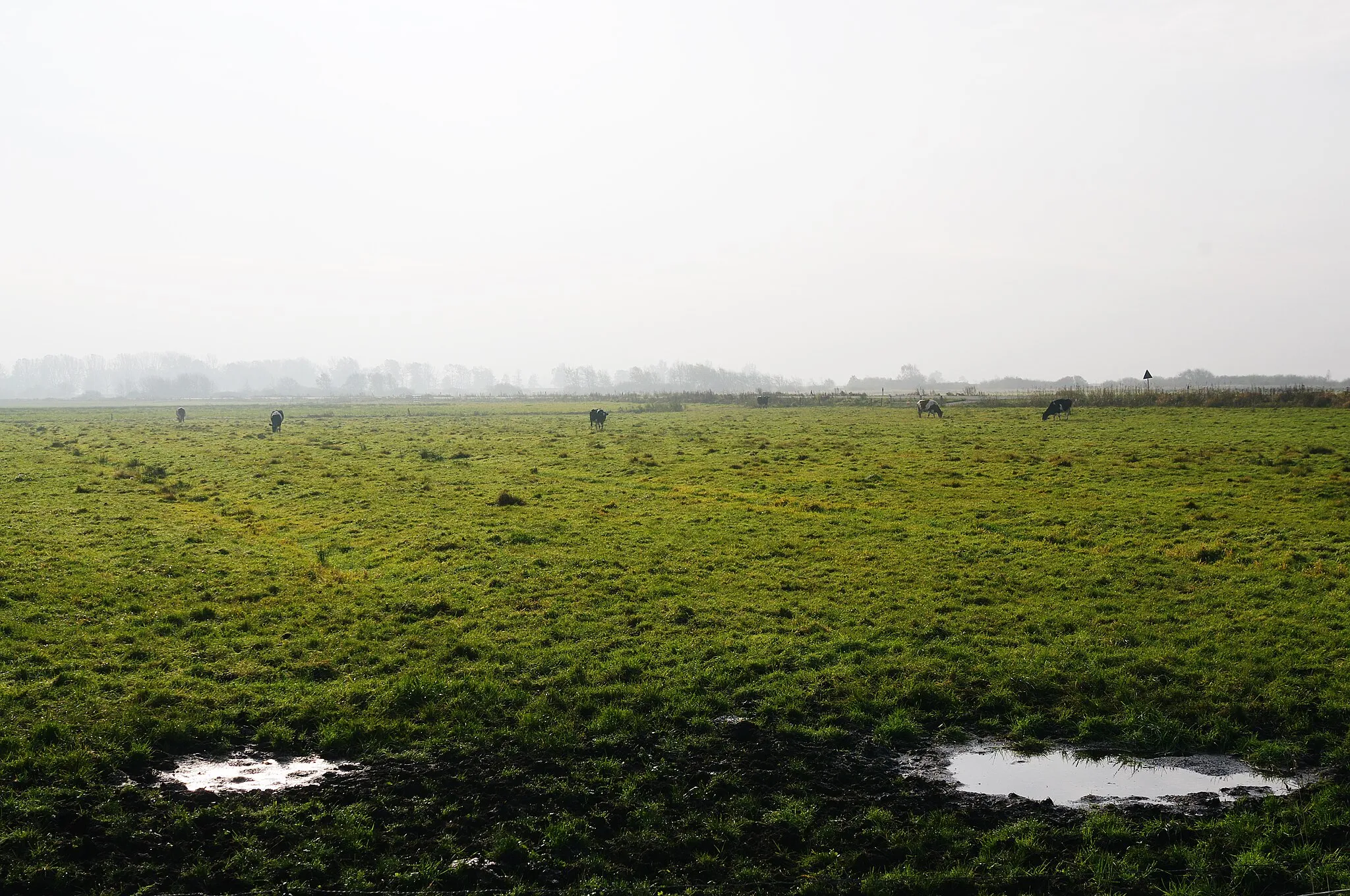 Photo showing: Landschaft in Schleswig-Holstein,