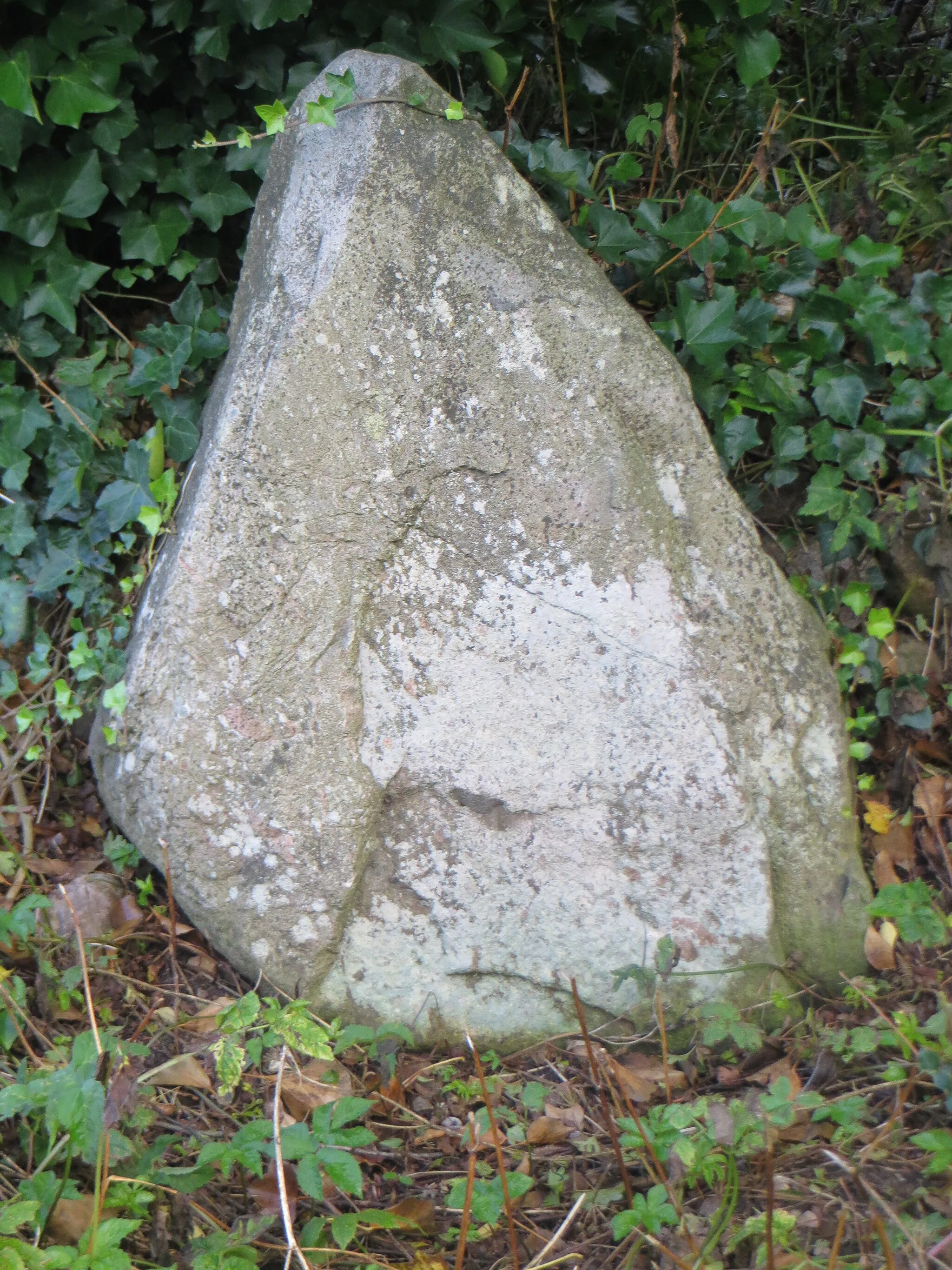 Photo showing: Sandemannsstein beim Flurtstück Oggesmose am Rand von Altholzkrug