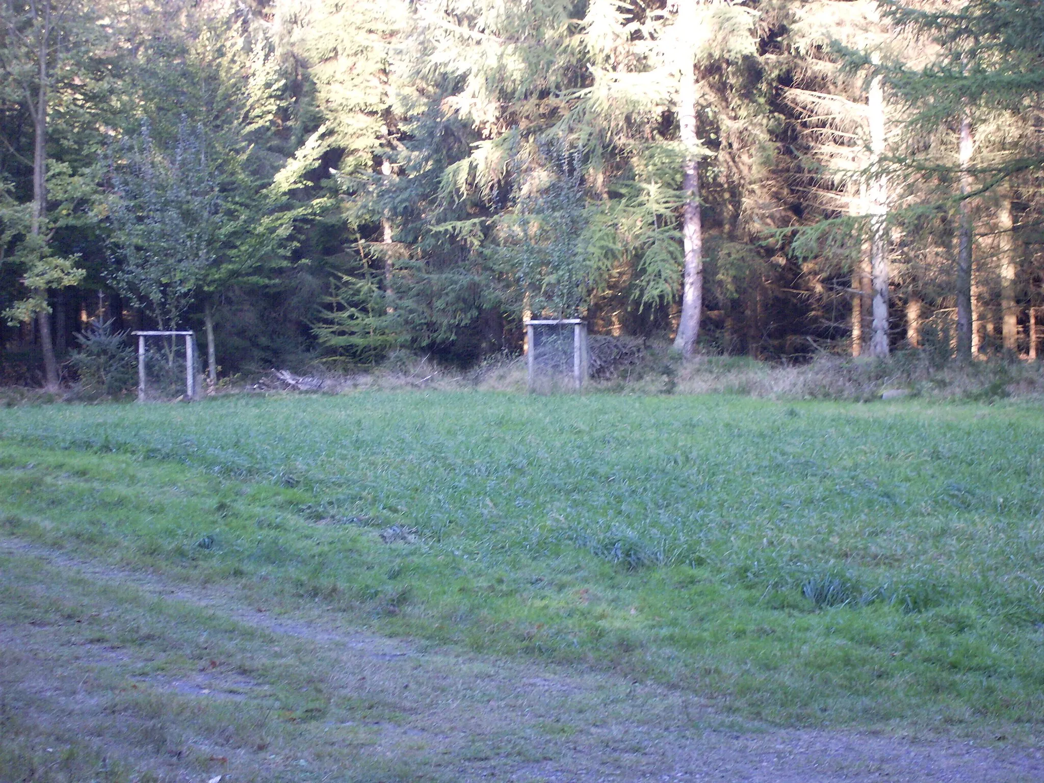 Photo showing: Wildacker im Handewitter Forst