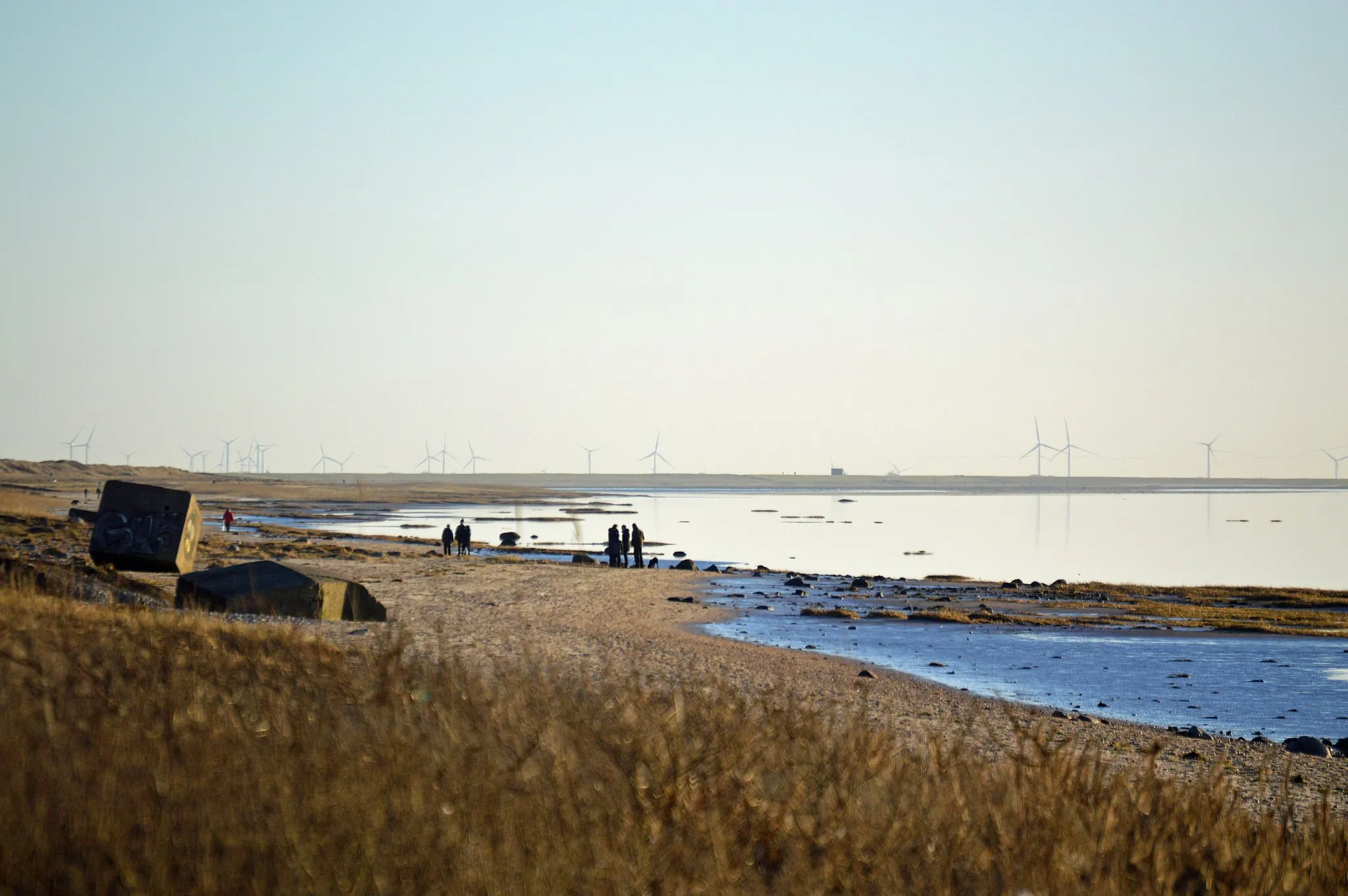 Photo showing: Danmarks sydvestligste kyststrækning - langs Vadehavet