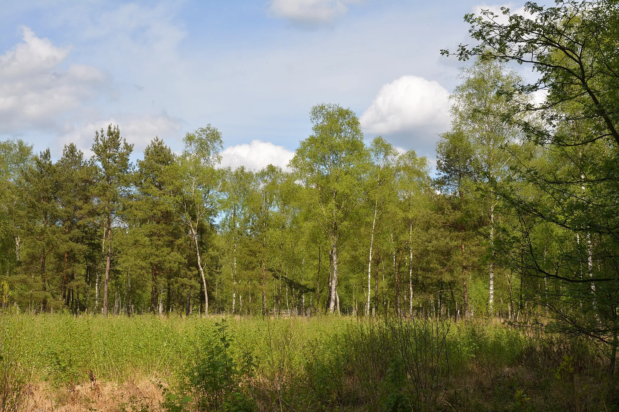 Photo showing: This is a picture of the protected area listed at WDPA under the ID