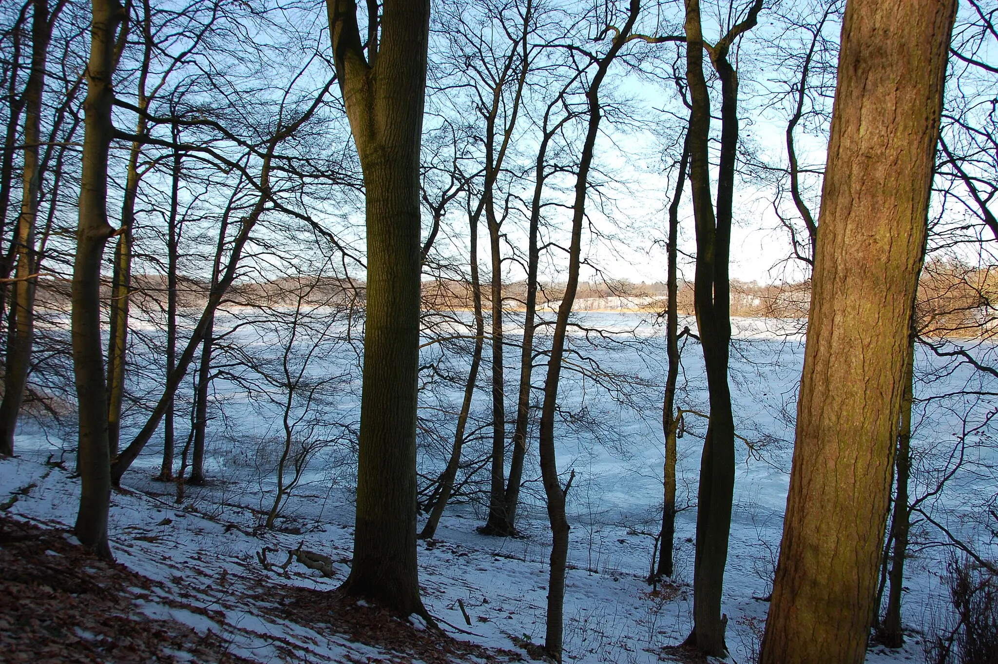 Photo showing: Durch den Wald auf den See