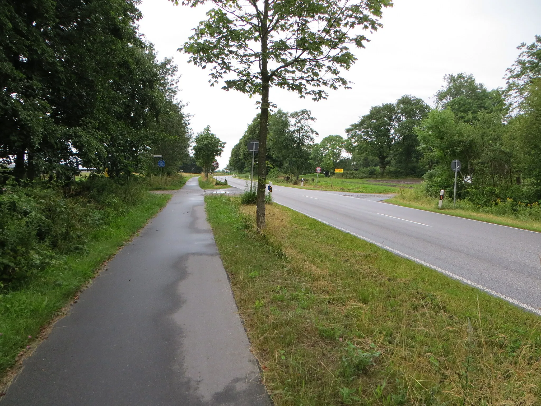 Photo showing: Nordstraße, mit links (Norden) und rechts (Süden) abzweigenden Feldweg Blocksberg (Flensburg), Bild 01