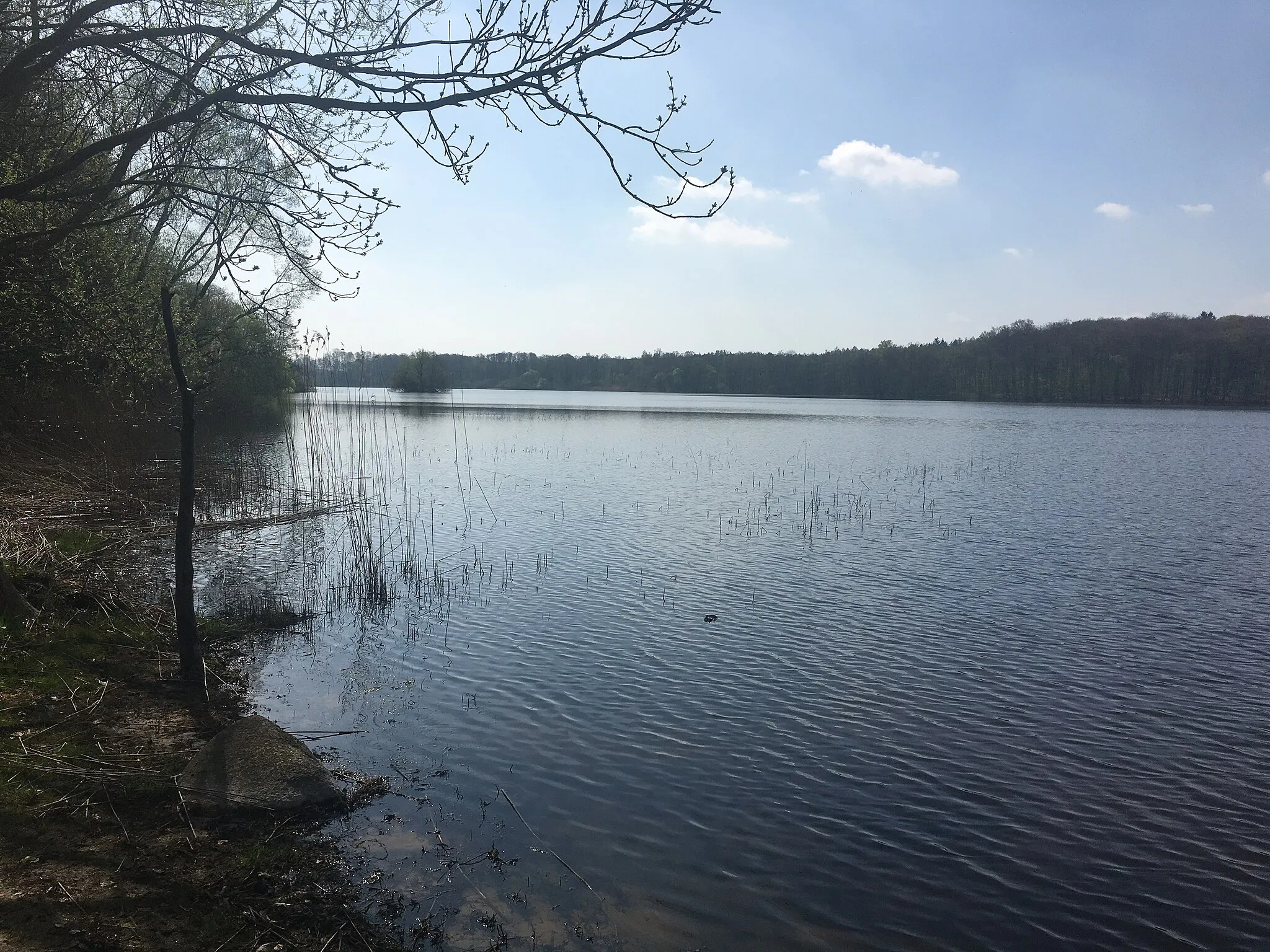 Photo showing: Goldensee. View over the lake towards the Lauenburg side.