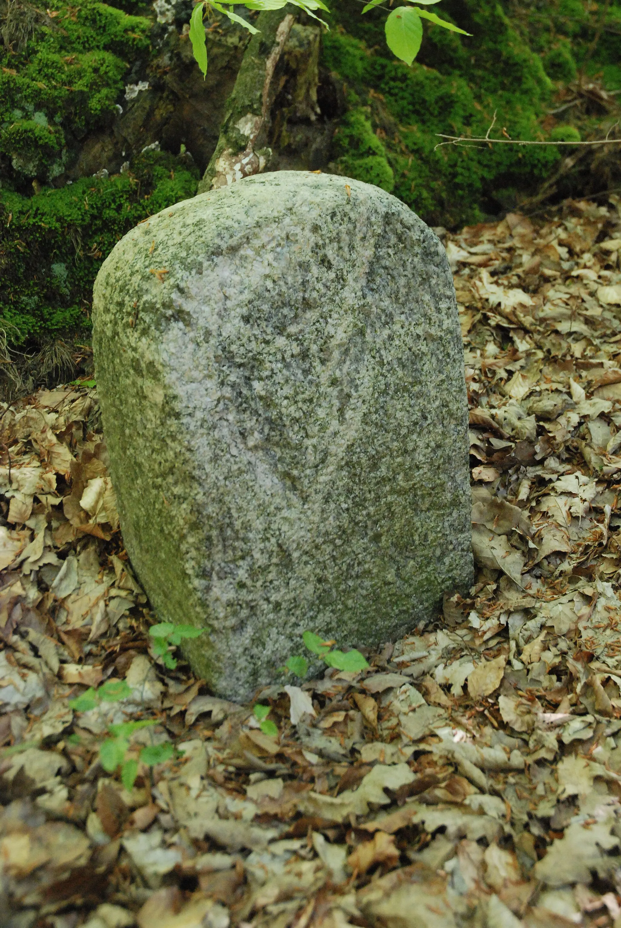 Photo showing: Historischer Stein, Standorf südlich der Straße von Lankau nach Albsfelde, vermutlich Grenzstein oder Chausseestein, nahe dem Lübecker Doppeladlerstein