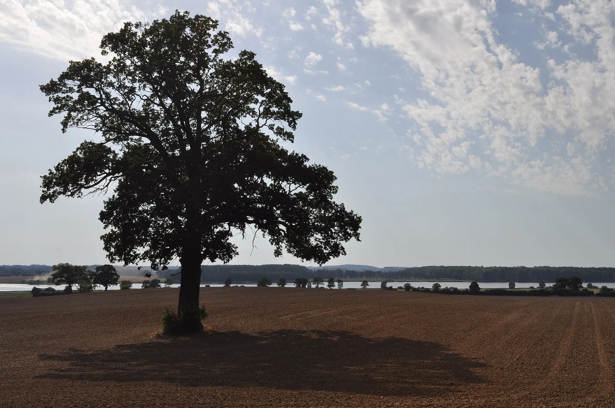 Photo showing: Blick aus der Nähe von Pronstorf auf den Wardersee.