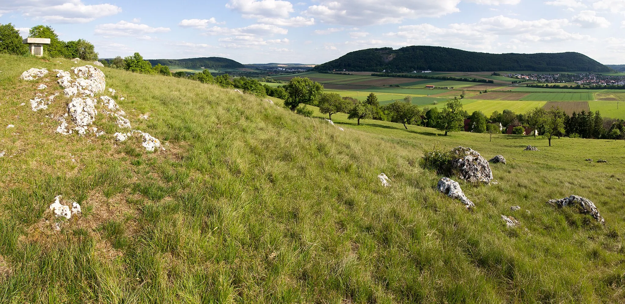 Photo showing: Auswurfmaterial (Härtlinge) im Vordergrund auf der Bergkuppe des Bubenheimer Berges, mit Blick auf die Franken Alb