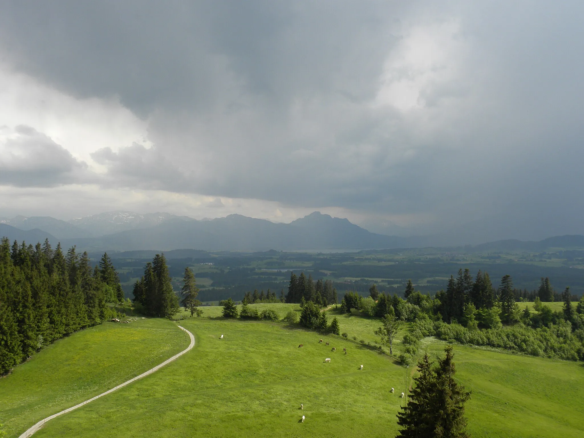 Photo showing: View from the Auerberg