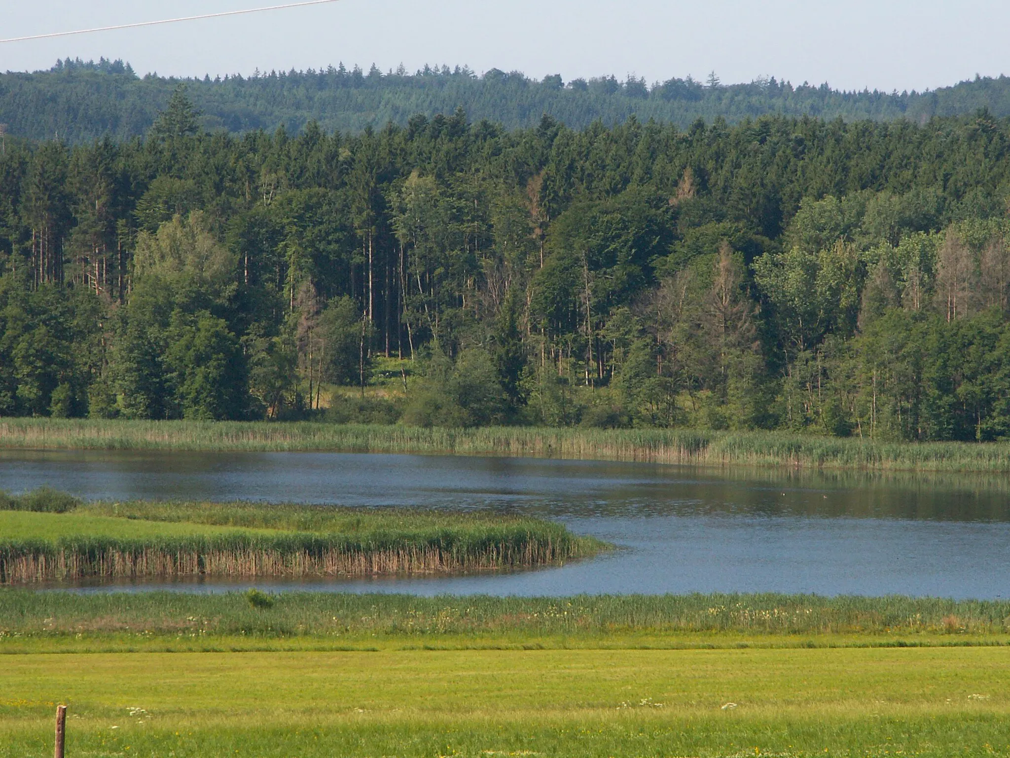 Photo showing: Schnerzhofer Weiher bei Markt Wald