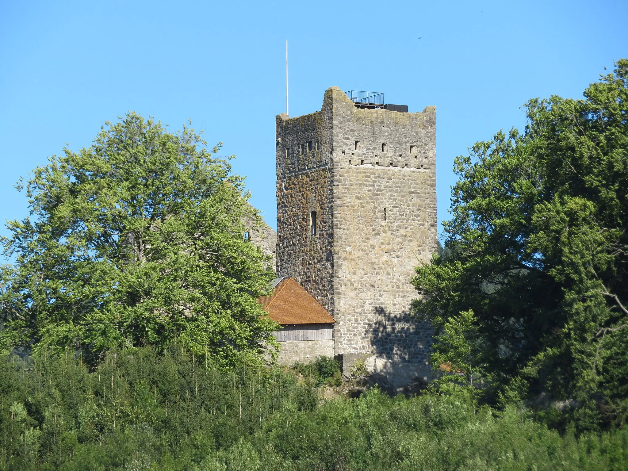 Photo showing: Ruine Sulzberg