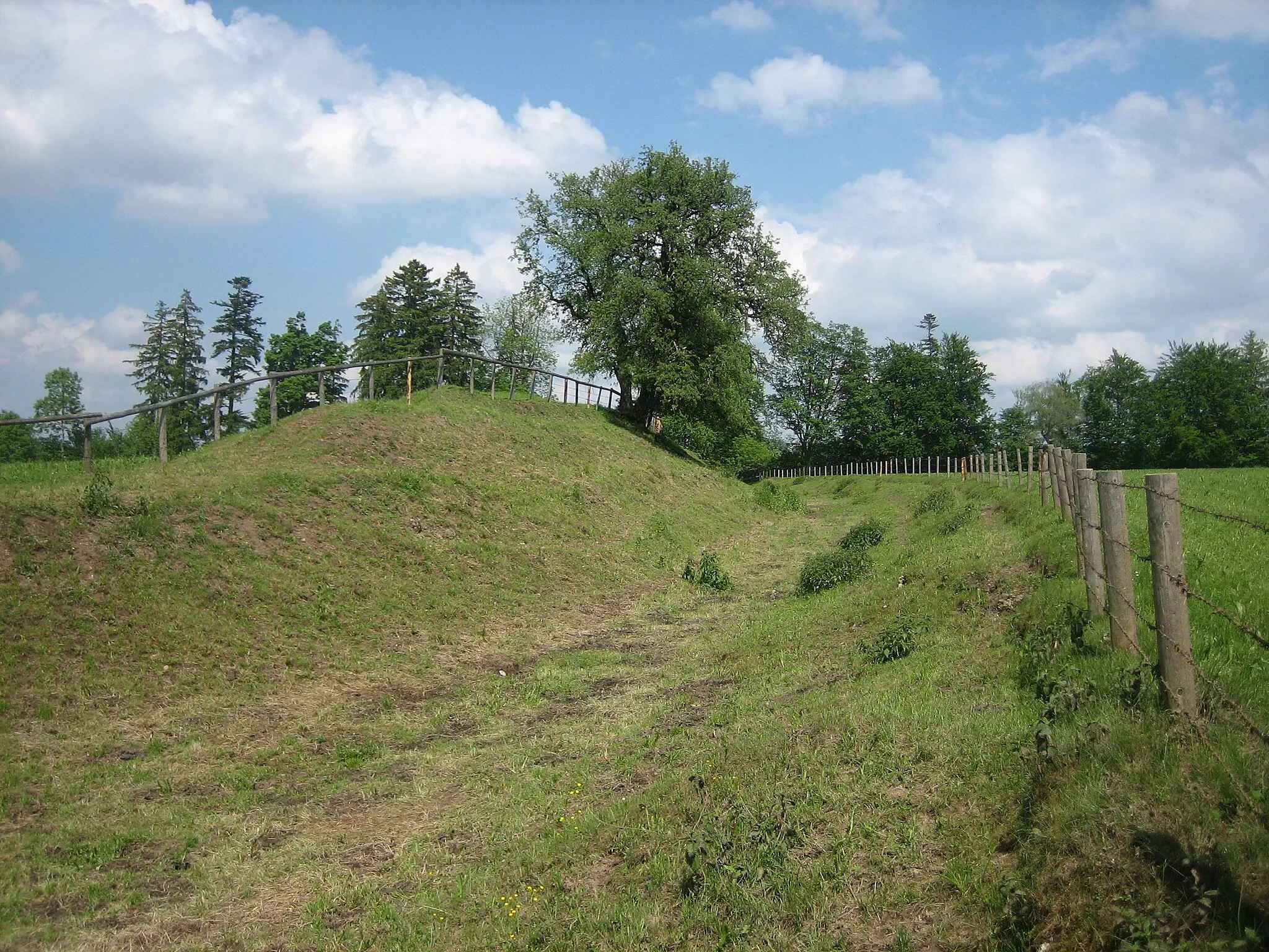 Photo showing: Zweiter Wall der Wallburg auf dem Falken bei Ittelsburg, Bad Grönenbach