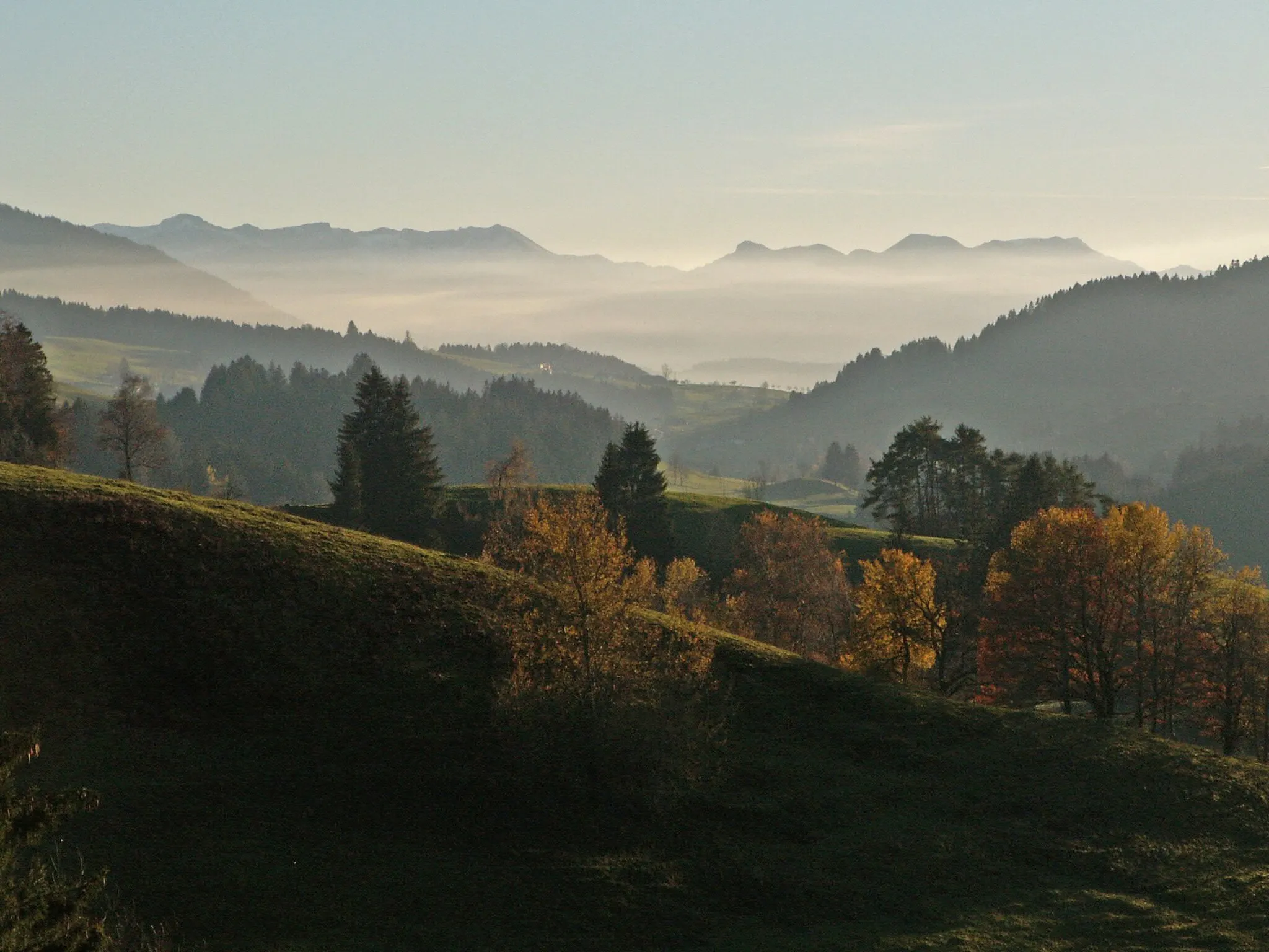 Photo showing: Westallgäuer Landschaft bei Gerstland