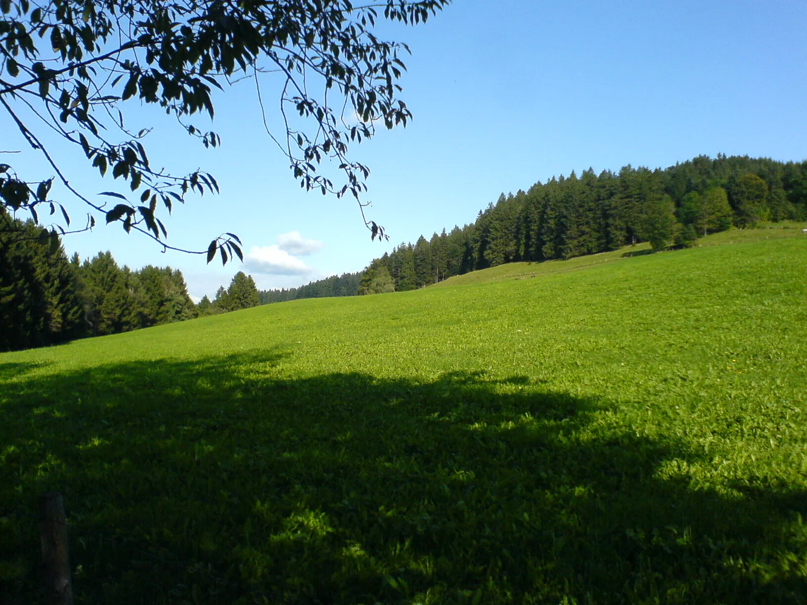 Photo showing: Balzenberg