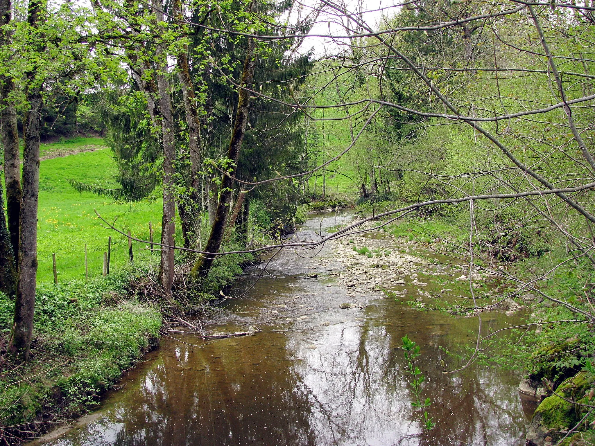 Photo showing: Die Leiblach bei Muthen an der Gemeindegrenze Hergatz–Opfenbach