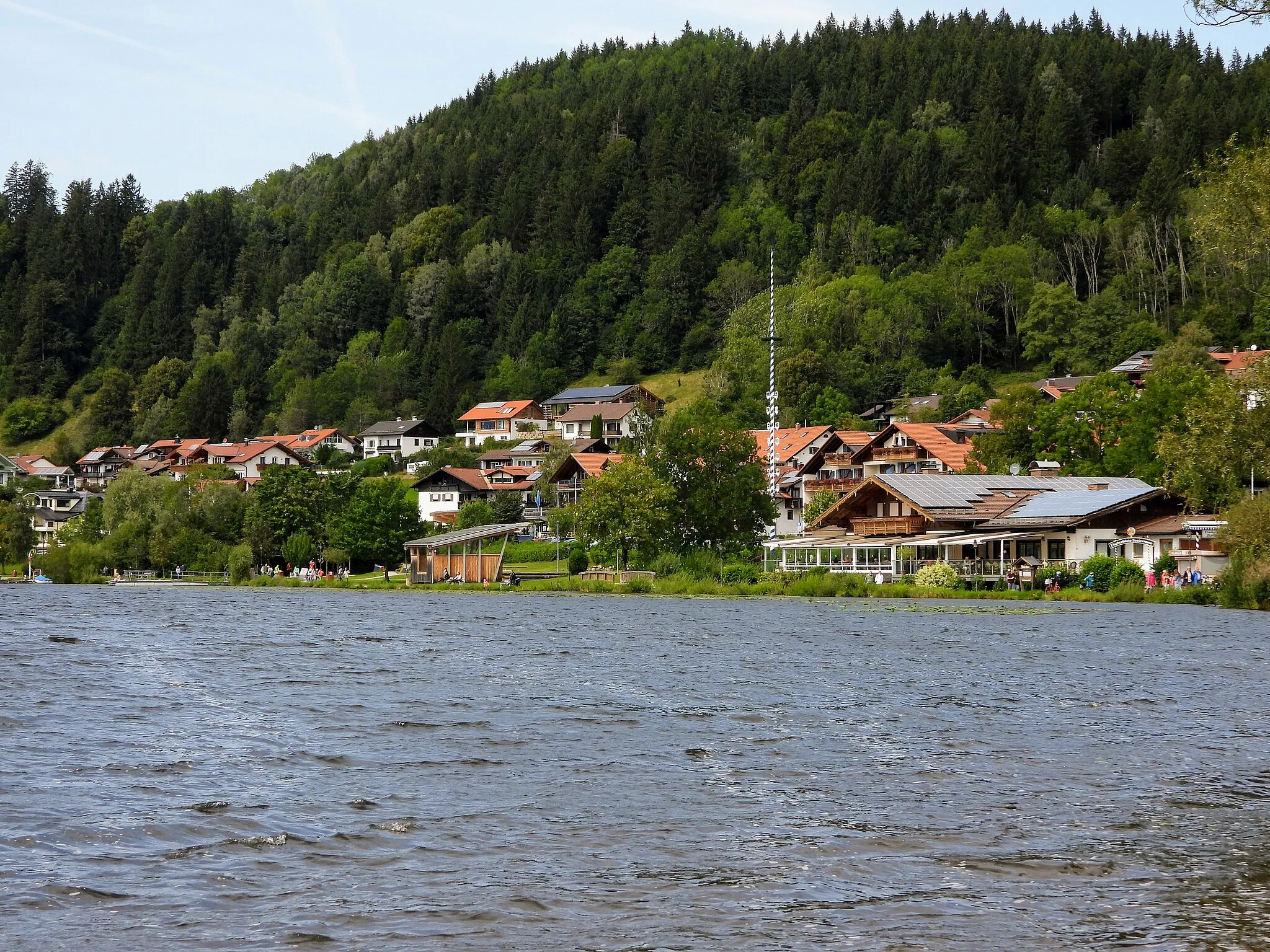 Photo showing: Hopfen am Hopfensee