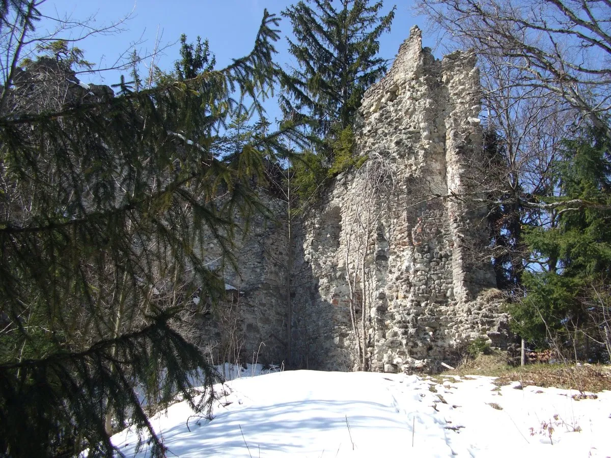 Photo showing: Ruine Vorderburg