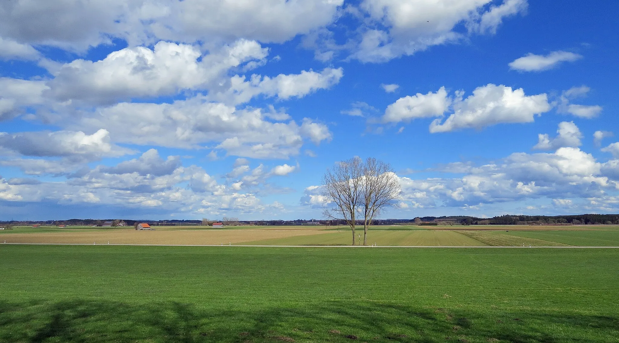 Photo showing: Landschaft auf Jengener Flur