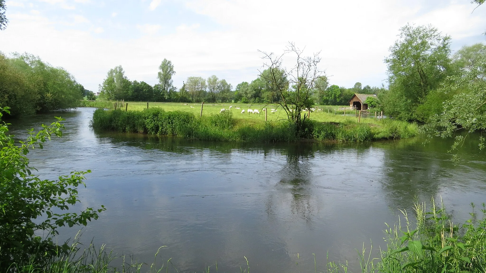 Photo showing: Günzmäander bei Weinried, Oberschönegg