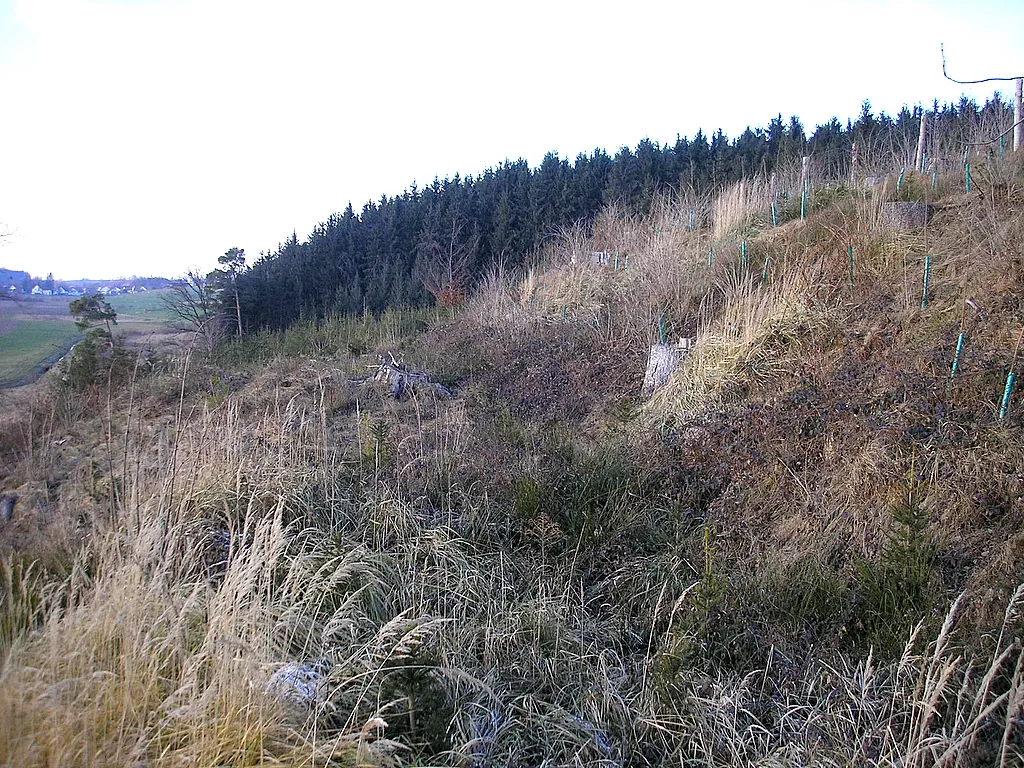 Photo showing: Frühmittelalterlicher Ringwall bei Mittelstetten (Landkreis Fürstenfeldbruck, Oberbayern). Die Westseite mit dem Hanggraben. Eigene Aufnahme, Dez. 2007 / Early Middle Ages ringwork castle near Mittelstetten (Landkreis Fuerstenfeldbruck, Upper Bavaria, Germany). Western part, looking into the moat. Own photo, Dec. 2007