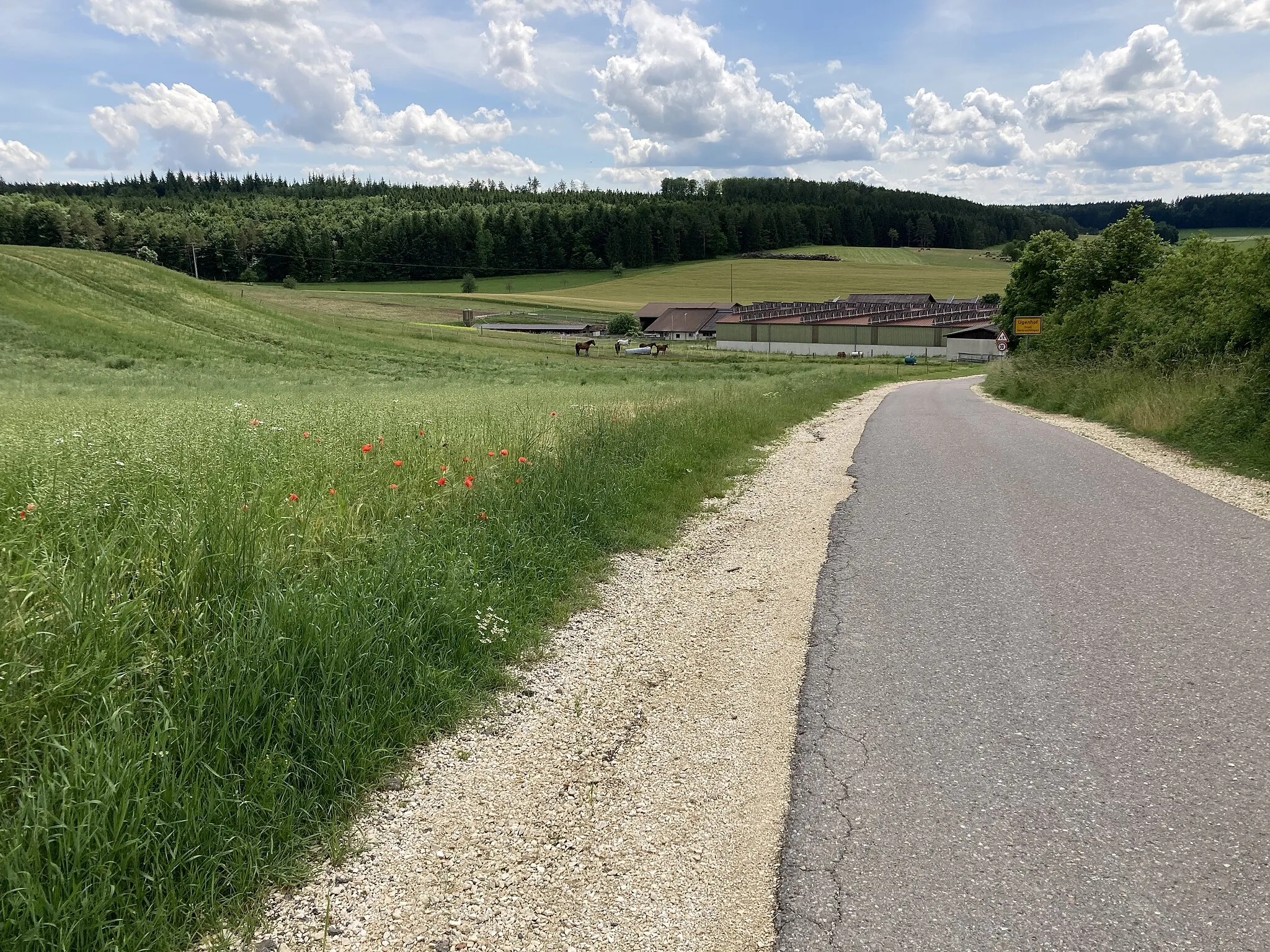 Photo showing: Descent to Ugenhof (2021)