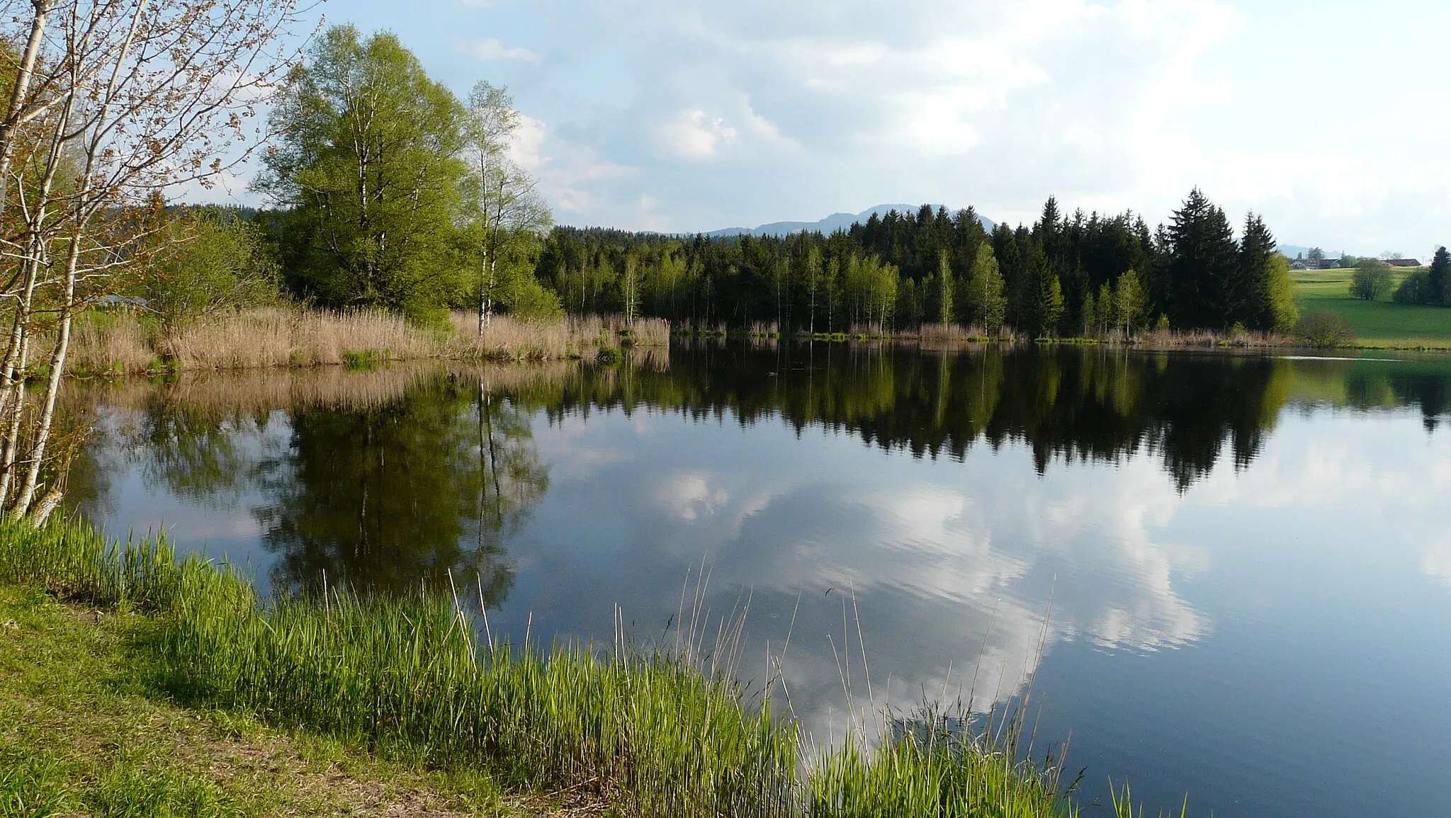 Photo showing: Schönewalder Weiher, Rückholz