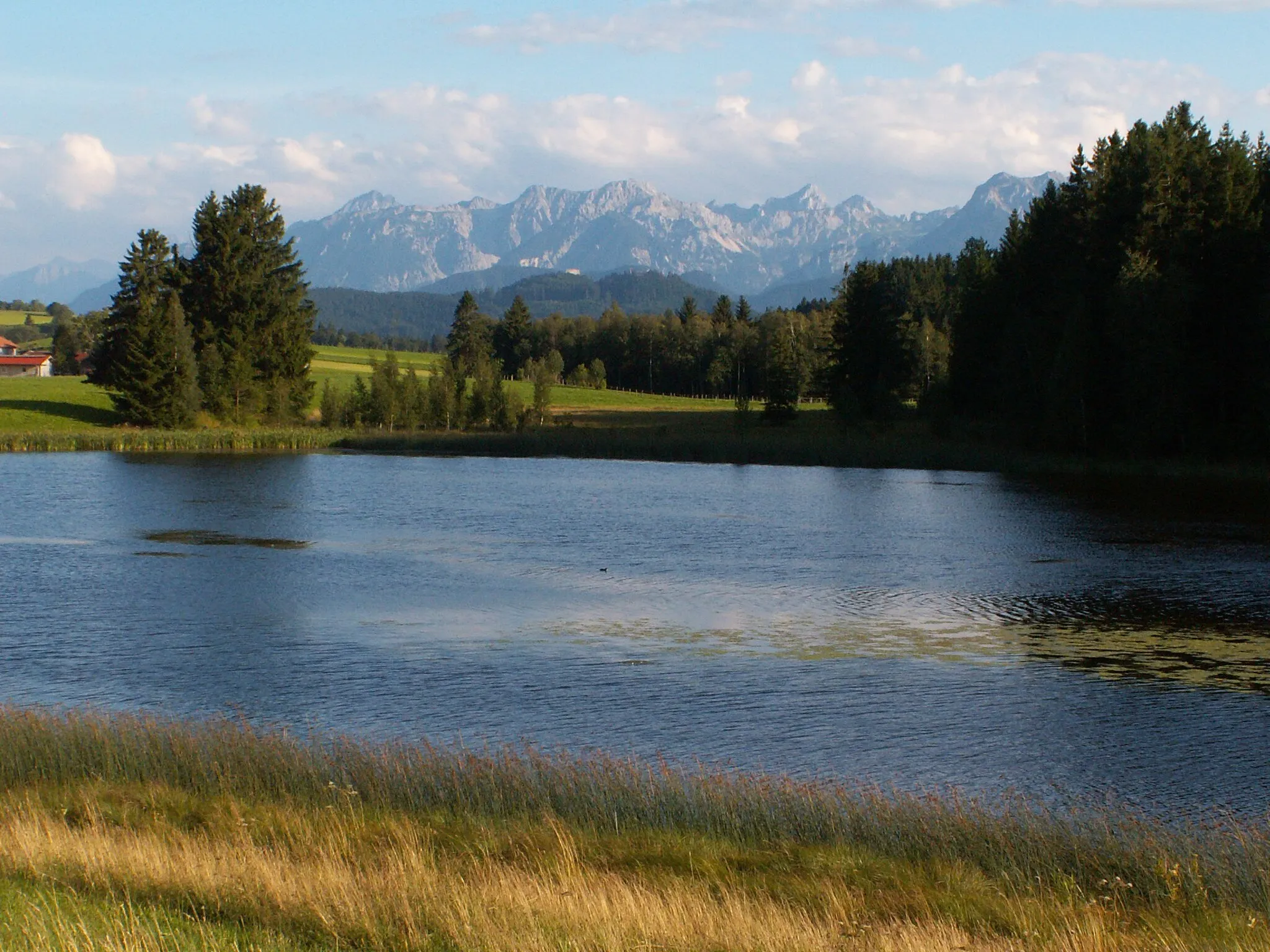 Photo showing: Luimooser Weiher, Rückholz