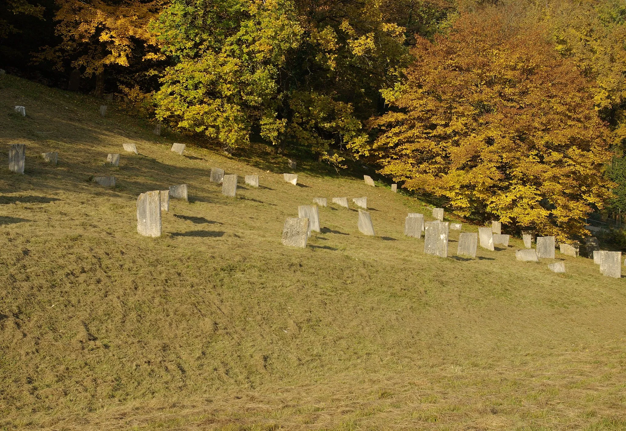 Photo showing: Jüdischer Friedhof in Pappenheim, oberer Teil