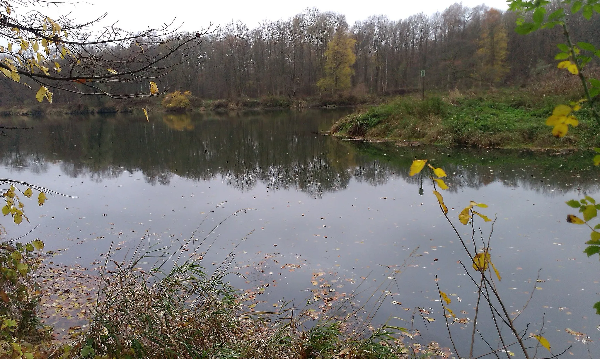 Photo showing: Water mouth of the river Ussel in the Danube