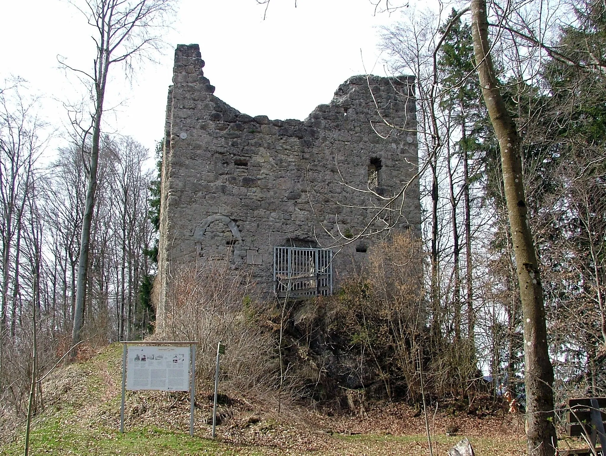 Photo showing: Ruine Langenegg