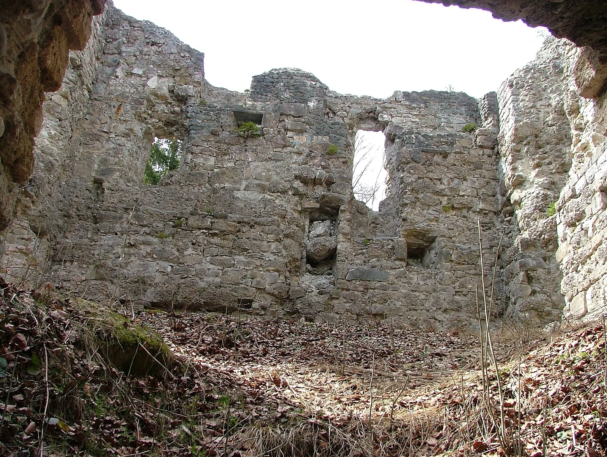 Photo showing: Burg Langenegg