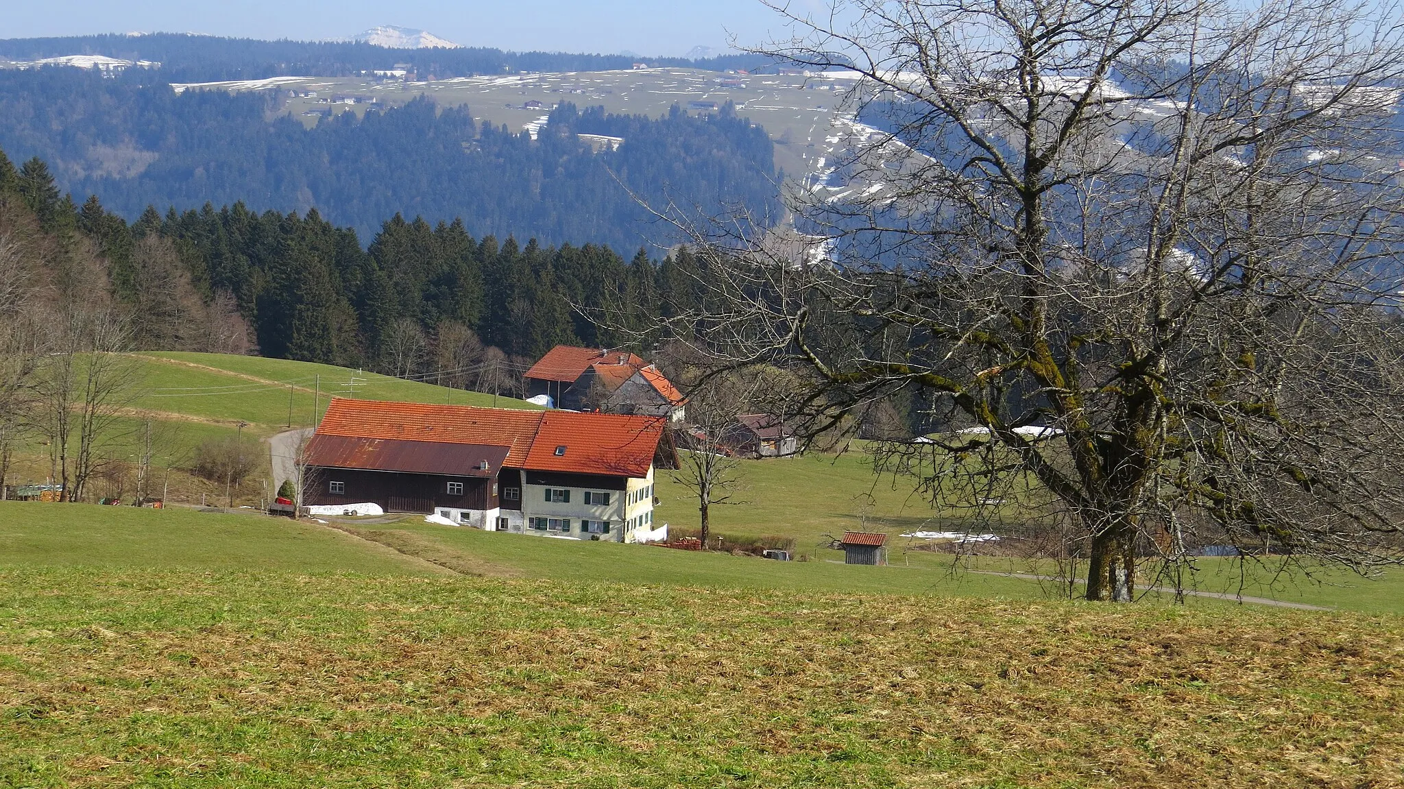 Photo showing: Haslach 19 von Nordwesten, Scheidegg