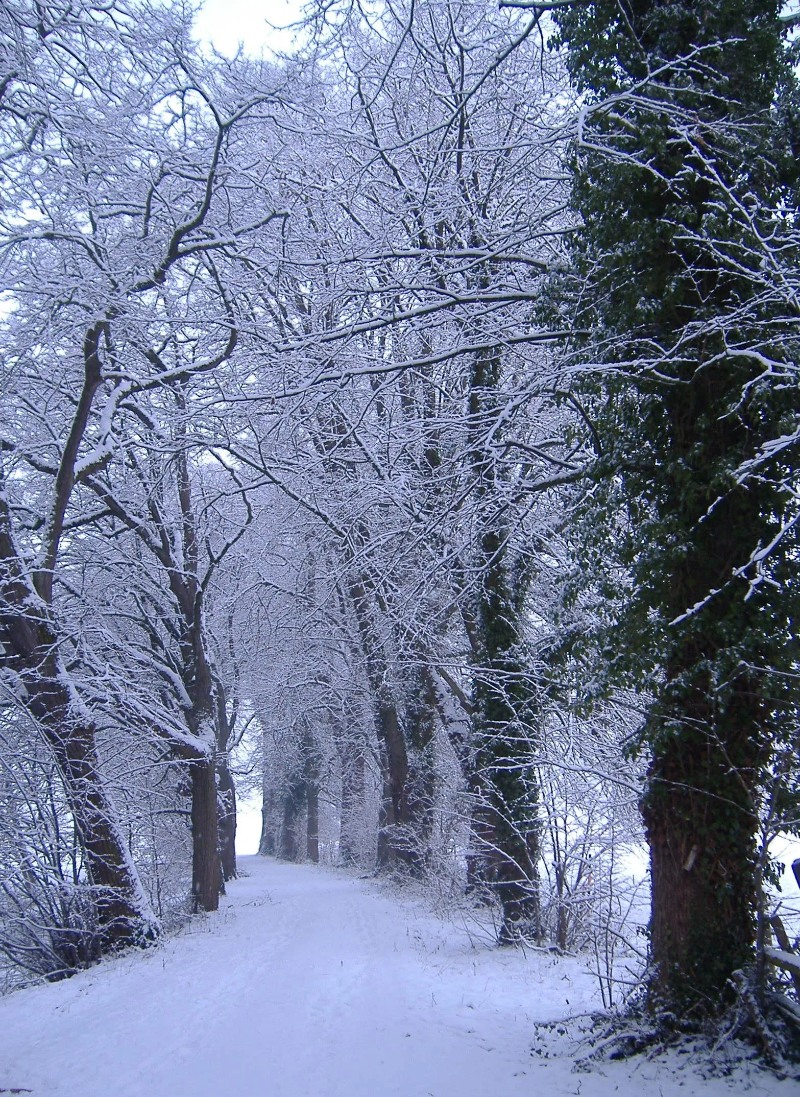 Photo showing: Schloss Bächingen