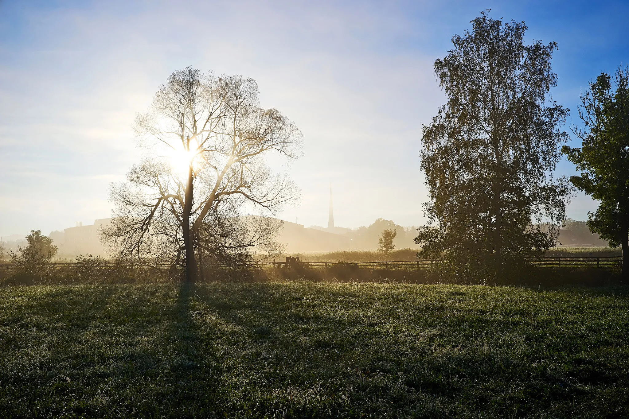 Photo showing: 500px provided description: Tree Of Light [#autumn ,#landscape ,#sunrise ,#fog ,#morning ,#sunlight ,#tree ,#misty]