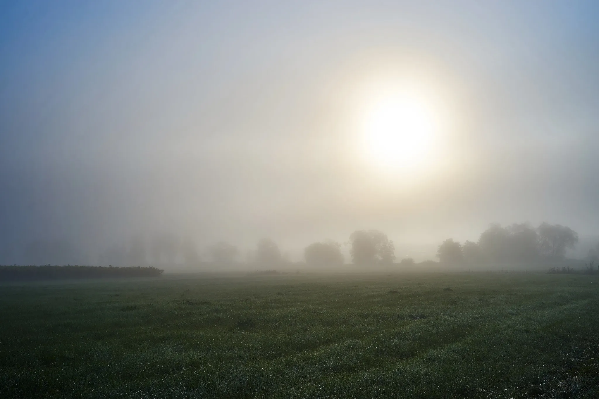 Photo showing: 500px provided description: Misty Morning 4 [#autumn ,#park ,#field ,#sky ,#flowers ,#landscape ,#sunrise ,#fog ,#morning ,#forest ,#beauty ,#sunset ,#nature ,#sun ,#light ,#old ,#tree ,#road ,#beautiful ,#fall ,#natural ,#scene ,#green ,#countryside ,#rural ,#misty ,#scenic]