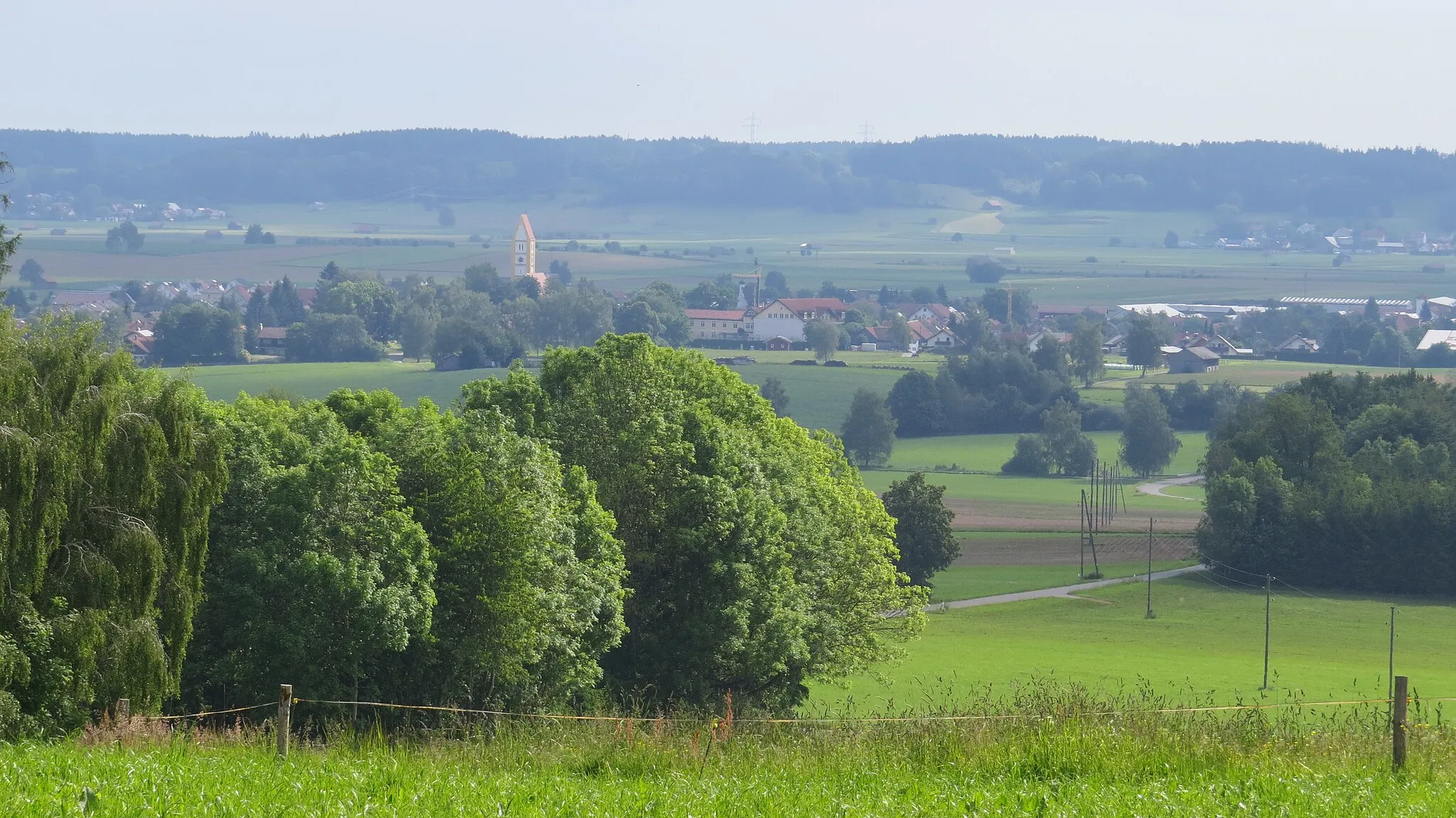 Photo showing: Dirlewang von Südwesten