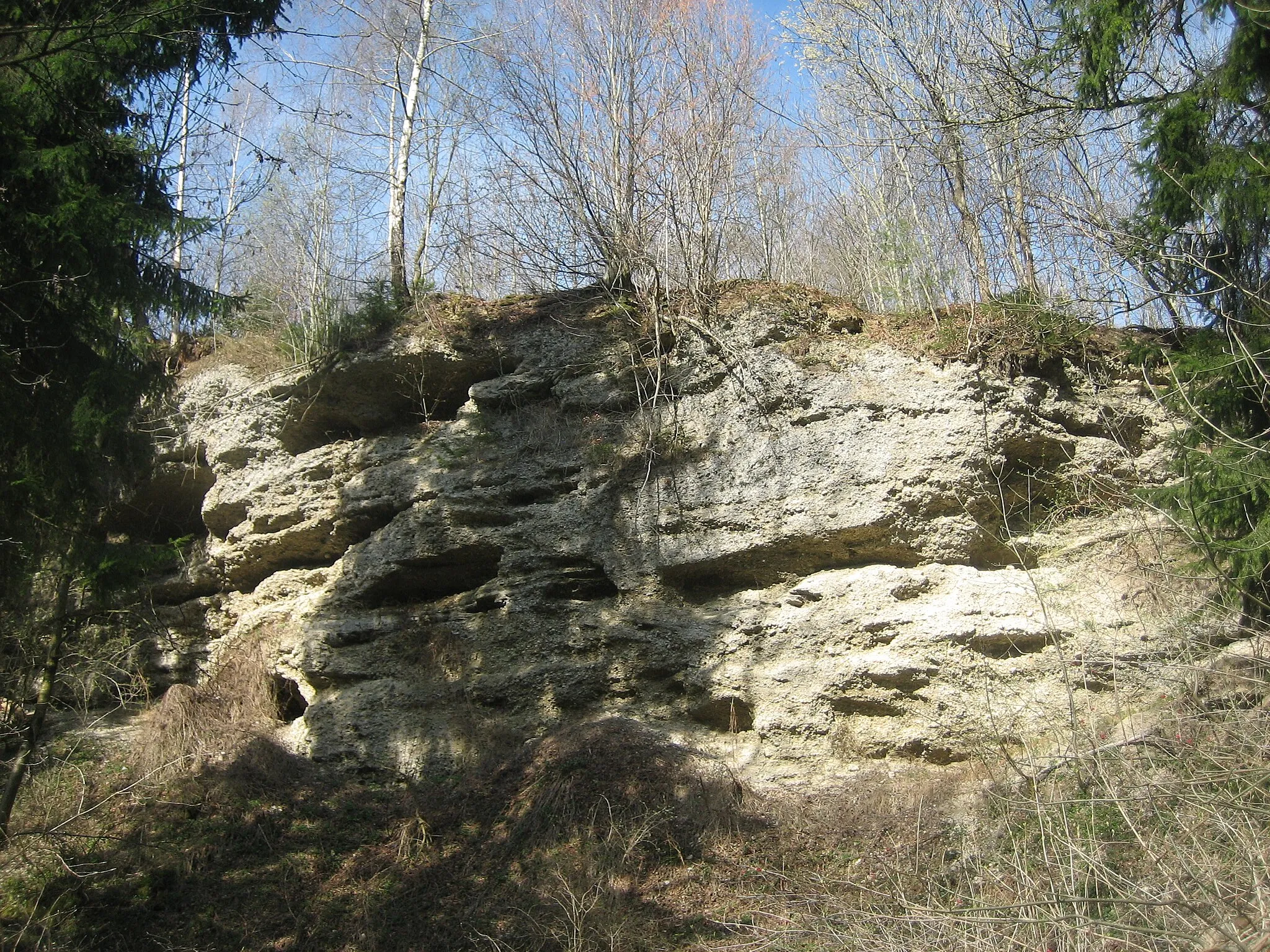 Photo showing: Geotop bei Waldegg, Bad Grönenbach, Landkreis Unterallgäu, Bayern