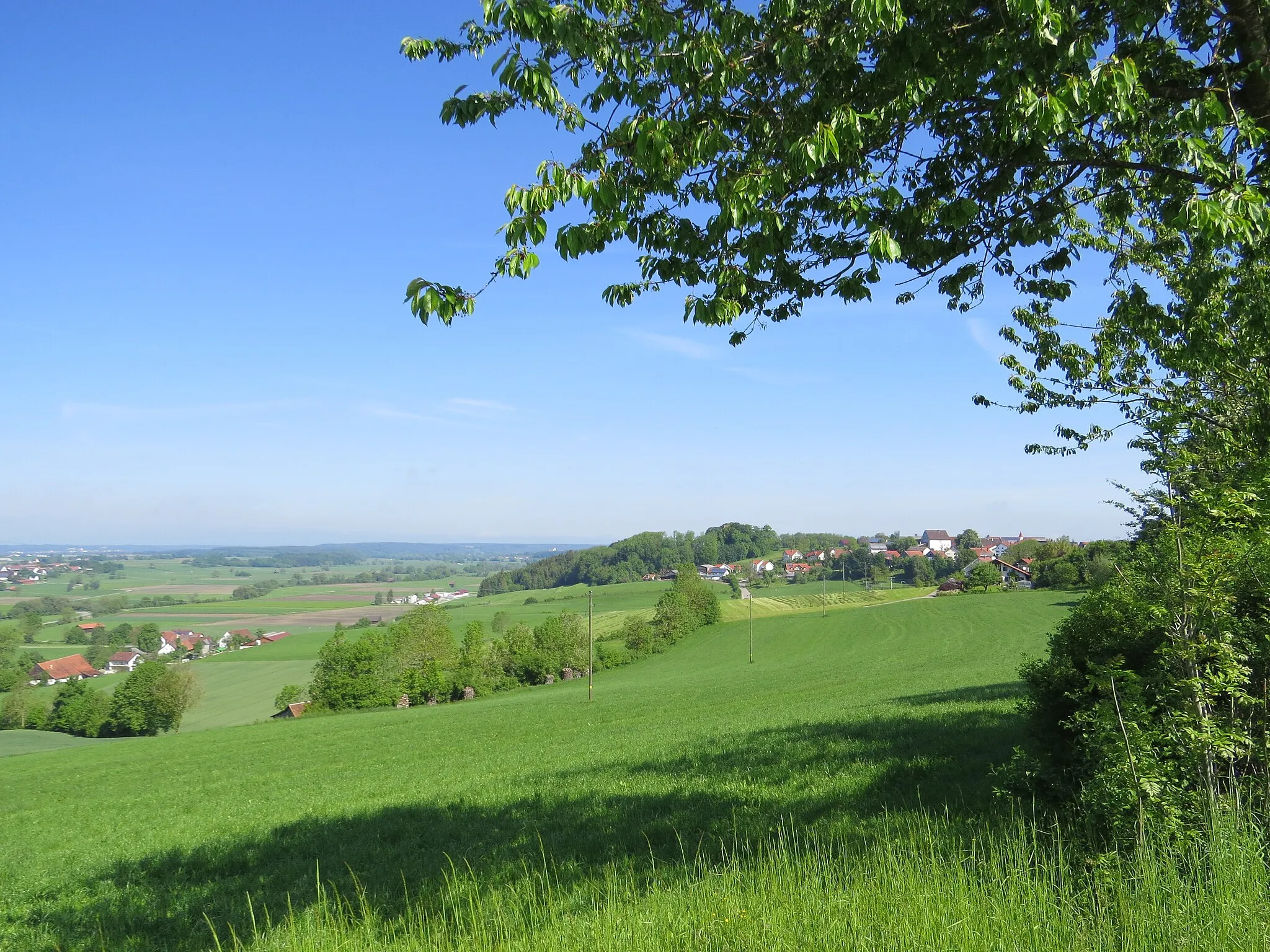 Photo showing: Oberschönegg von Süden