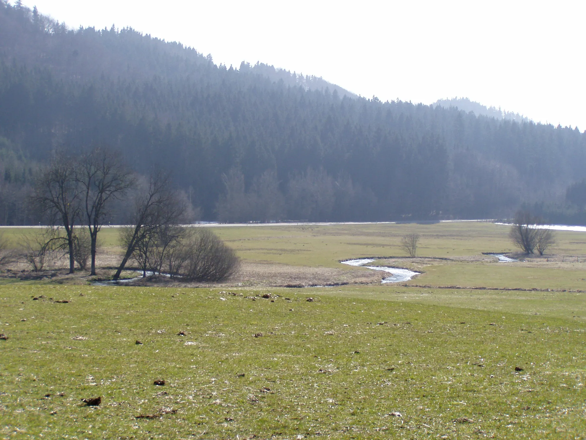 Photo showing: Günzmäander bei Ronsberg