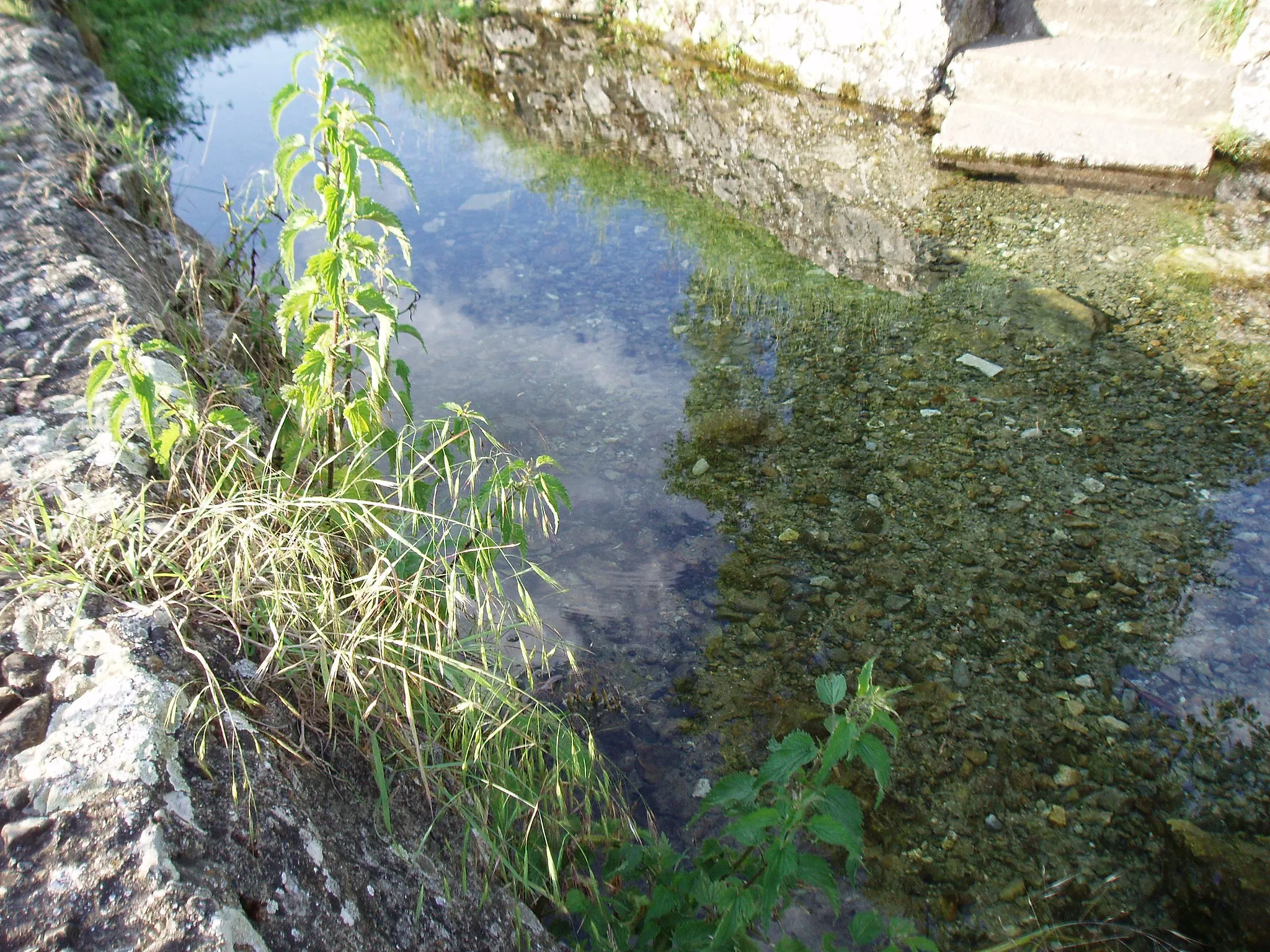 Photo showing: Schutterquelle in Wellheim am Galgenberg