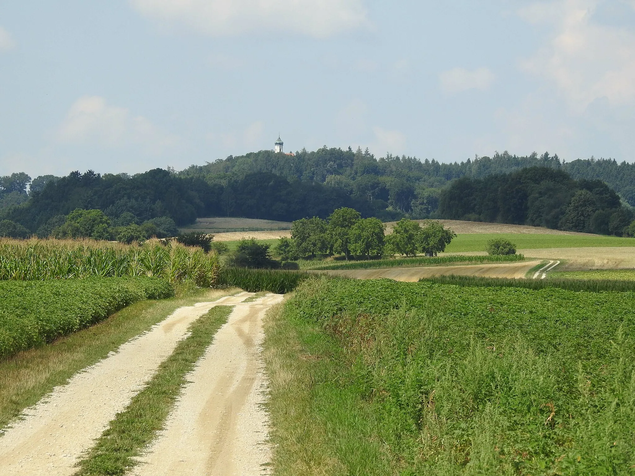 Photo showing: Weinberg mit St. Wolfgang von Osten