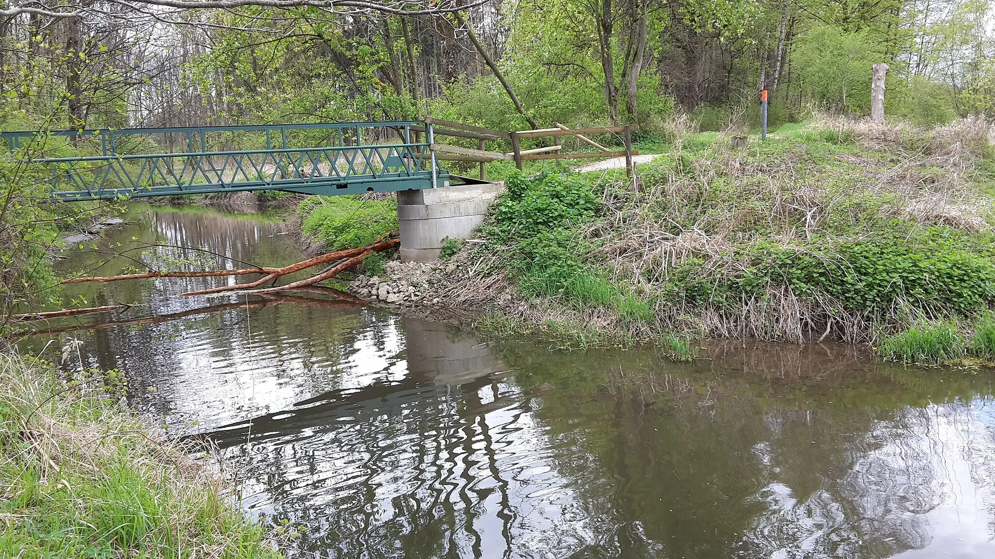 Photo showing: Leibi Mündung in Donau