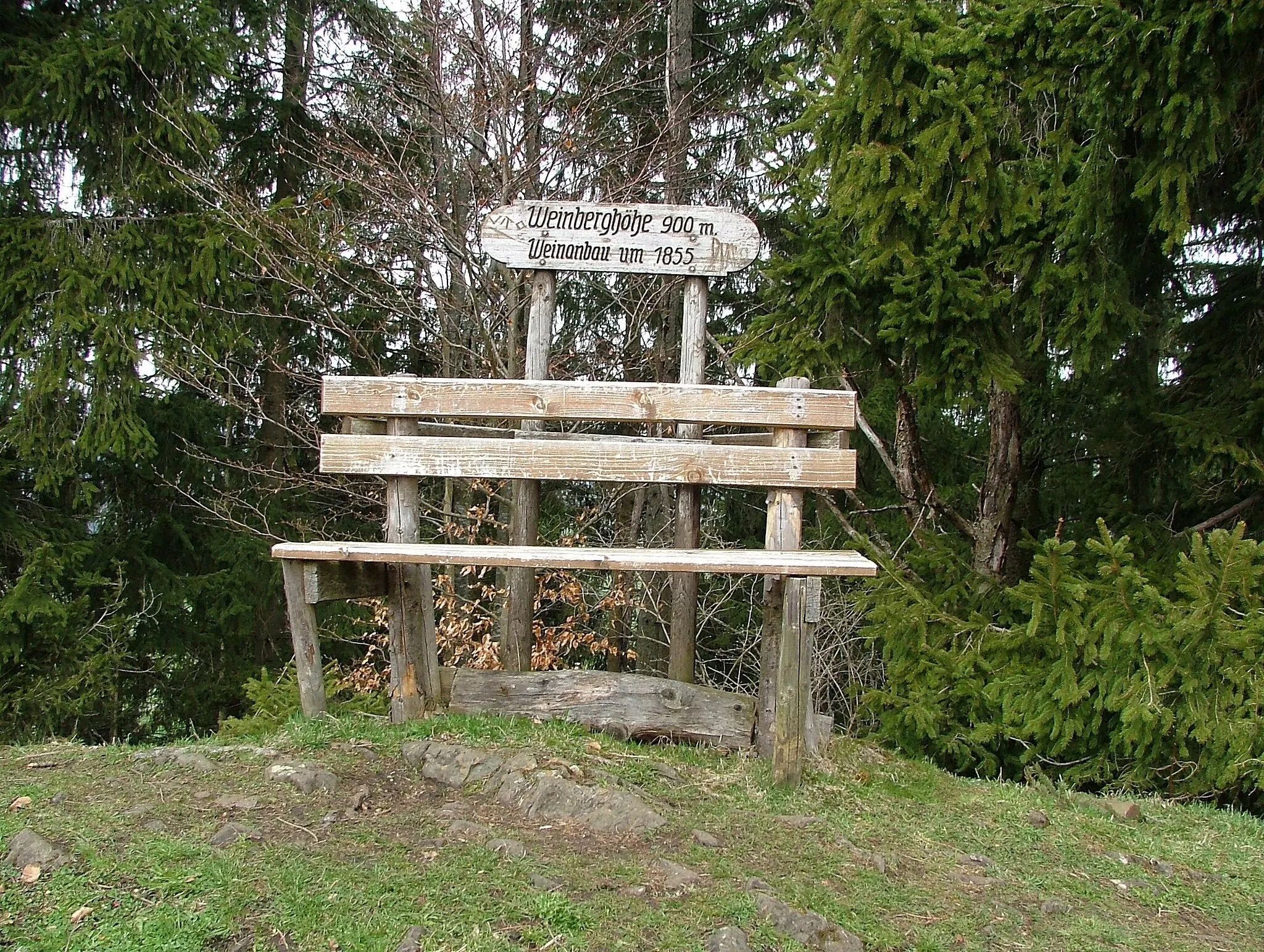 Photo showing: Gipfel des Weinbergs 900 m ü.d.M.