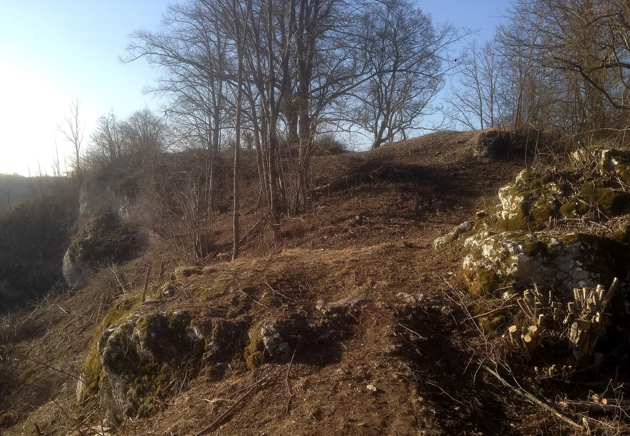 Photo showing: Burgstall der Eselsburg im Herbrechtinger Stadtteil Eselsburg