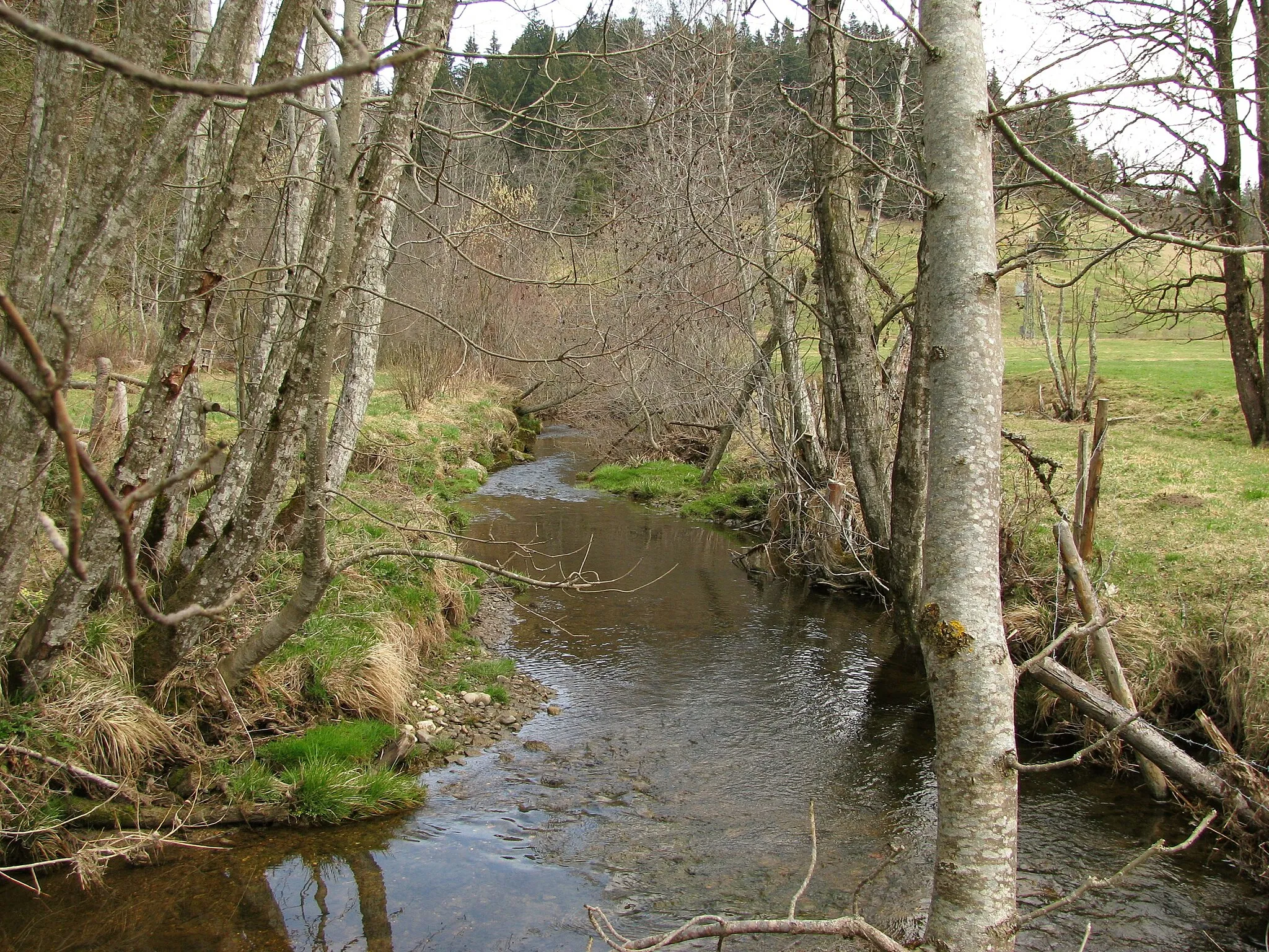 Photo showing: Illach kurz unterhalb der Brücke der St 2059 bei Wildsteig