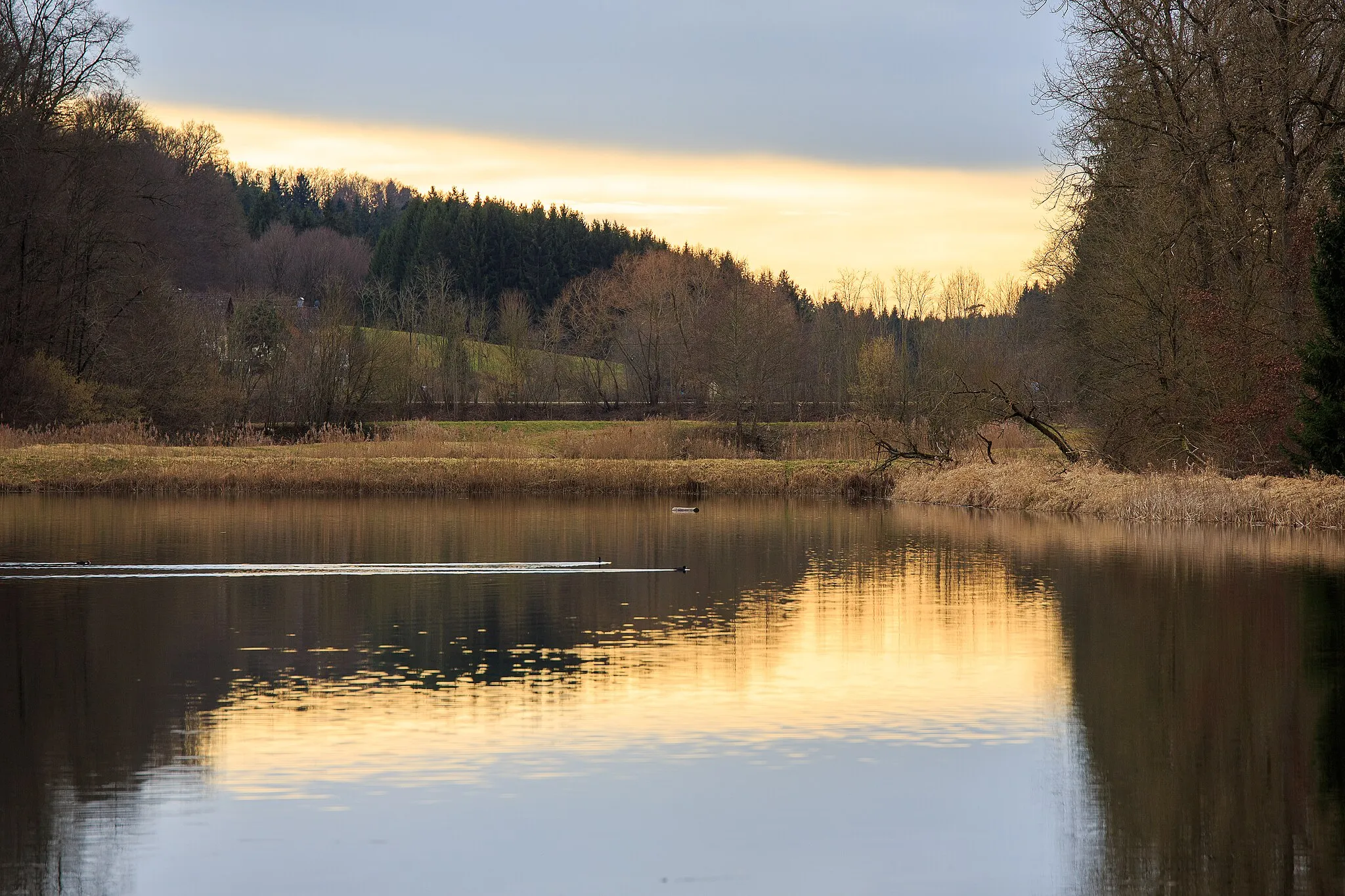 Photo showing: Seengruppe um Burgwalden