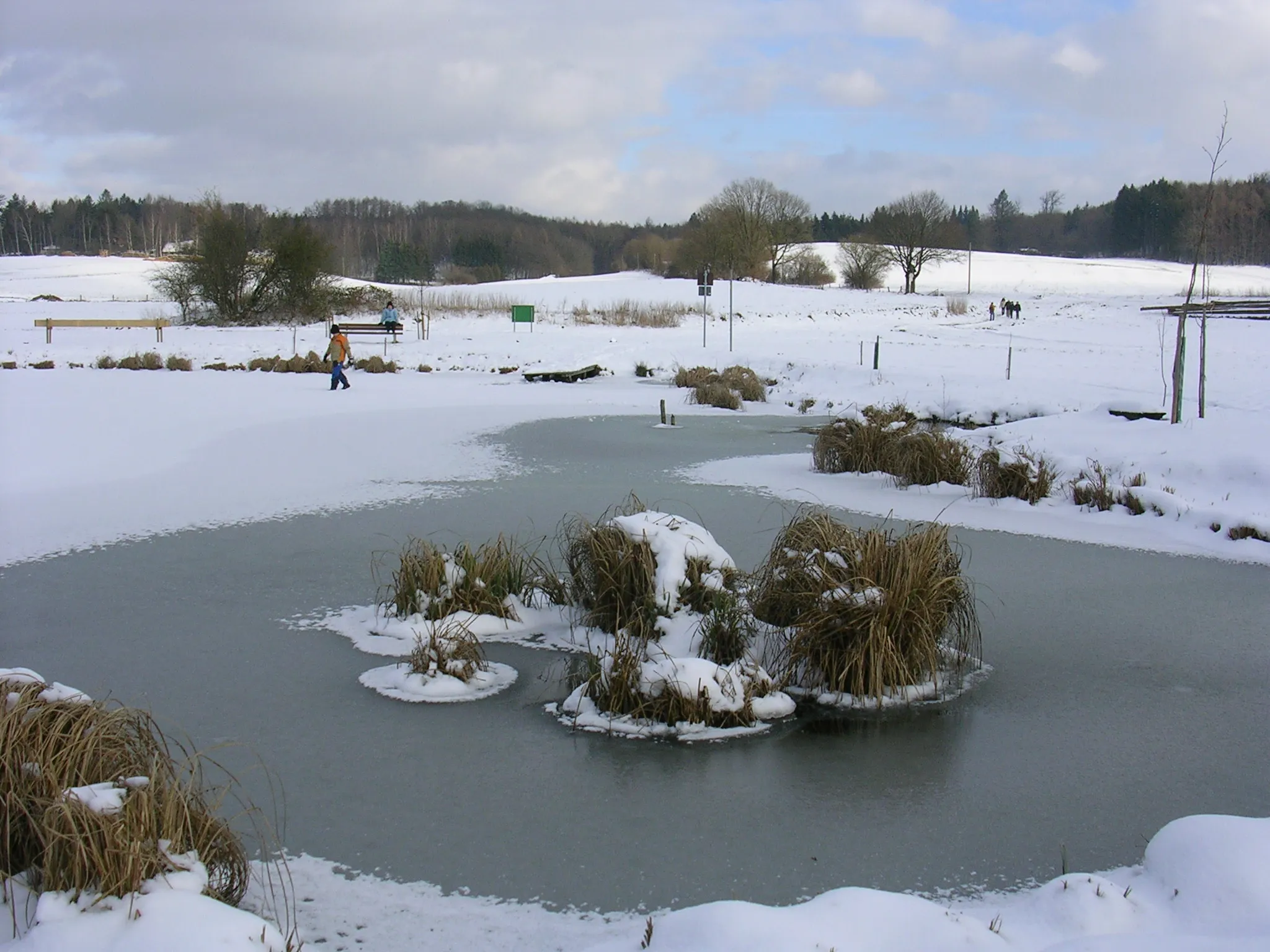 Photo showing: Biotopweiher am Ortsrand