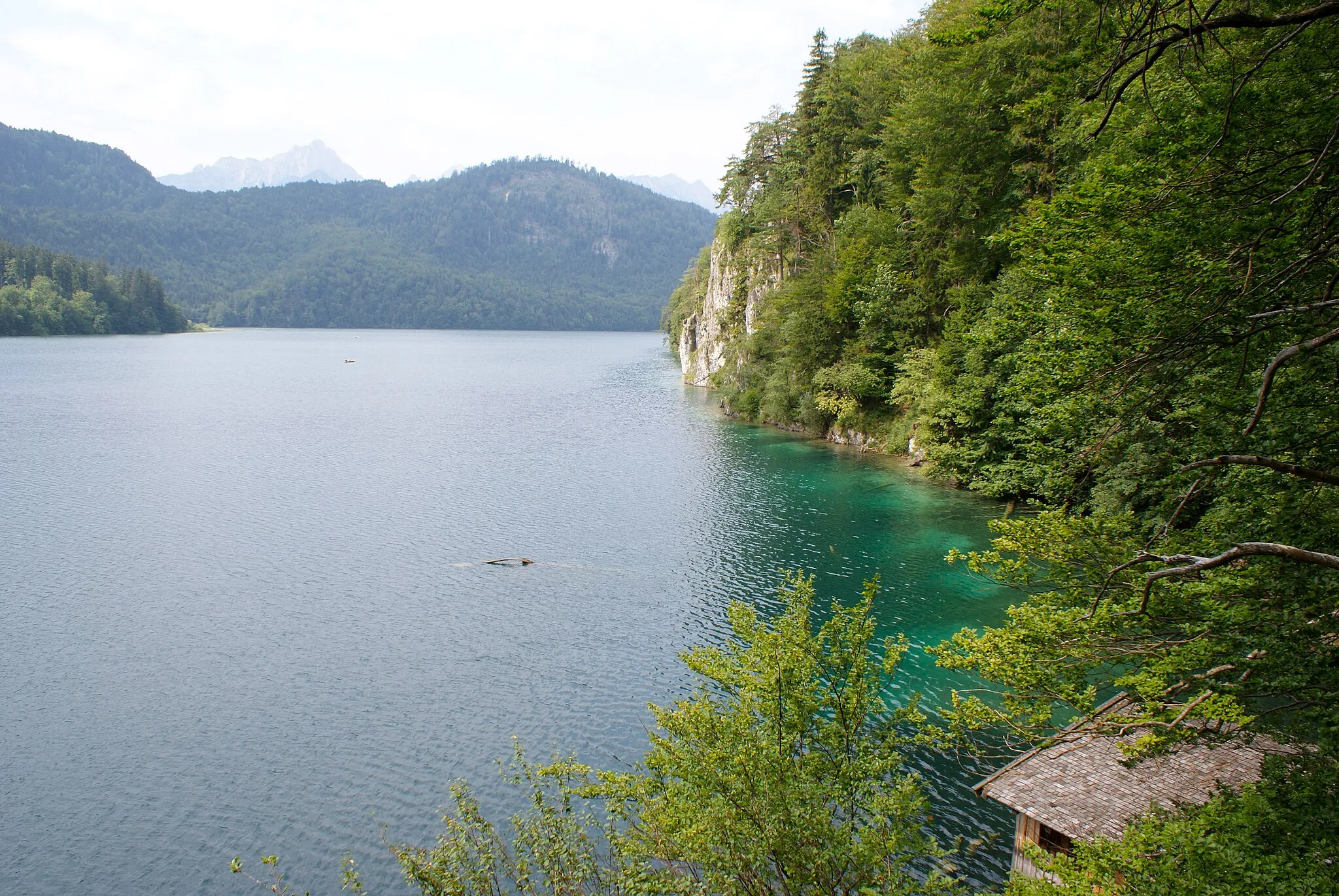 Photo showing: Alpsee