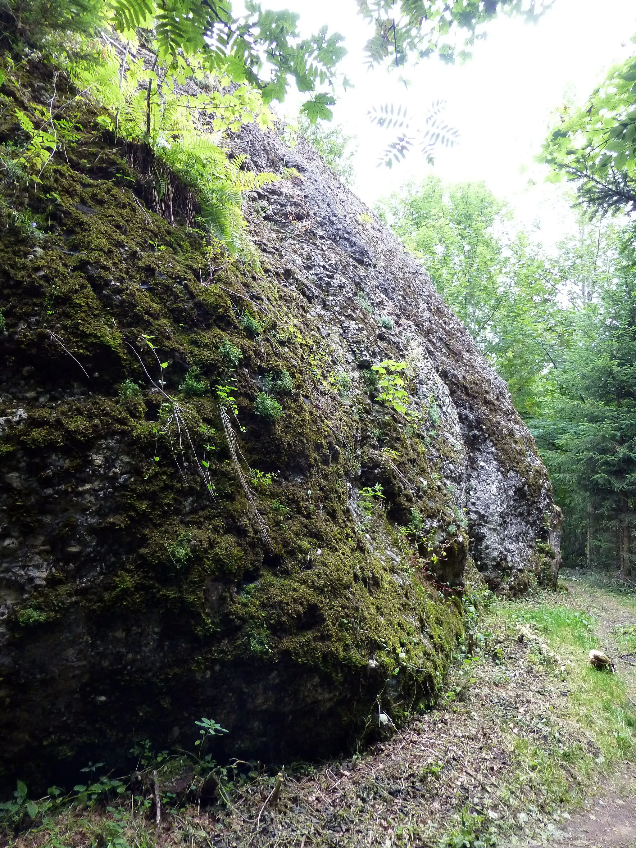 Photo showing: Geotop Dengelstein, Findling im Kempter Wald