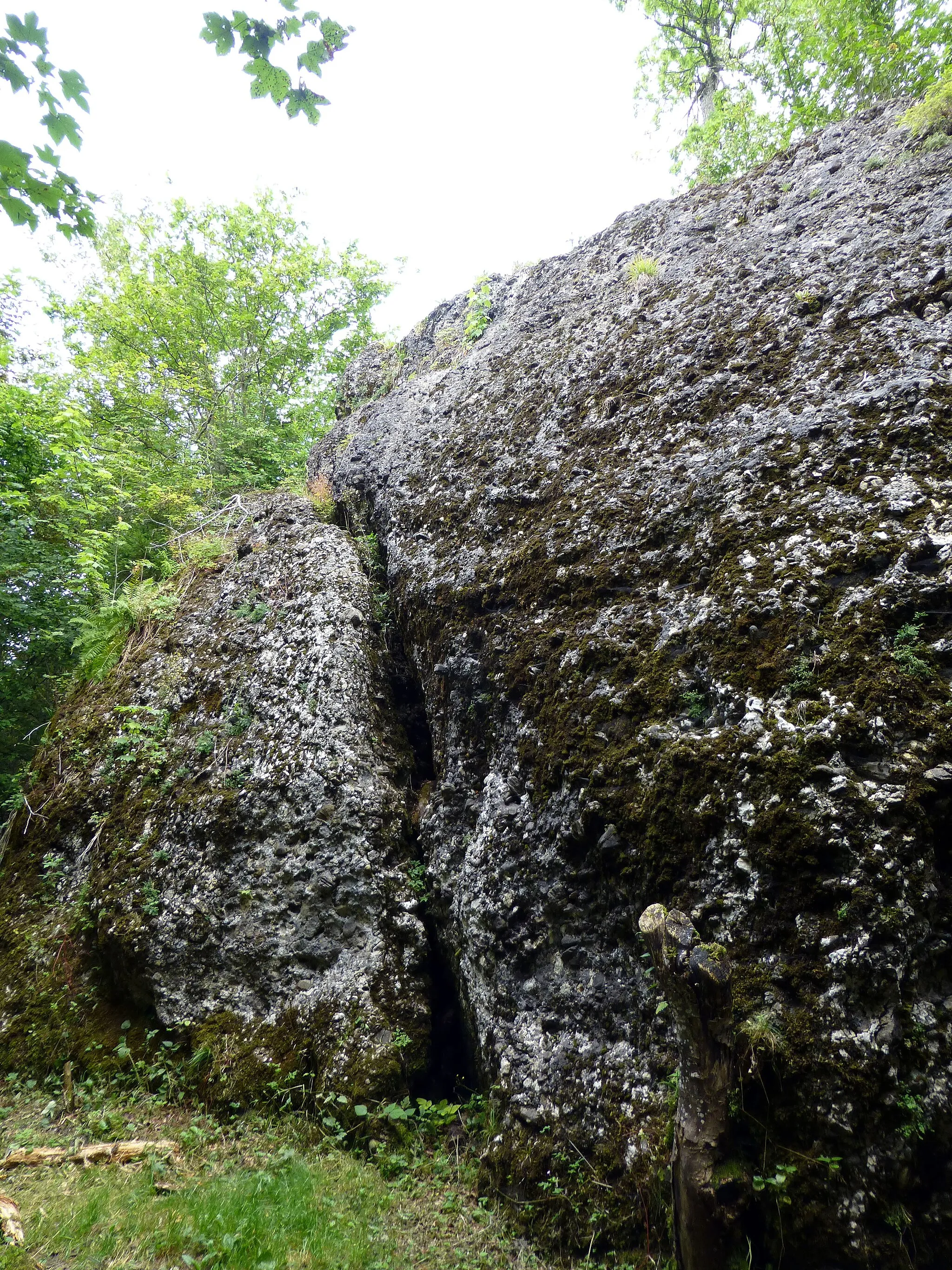 Photo showing: Geotop Dengelstein, Findling im Kempter Wald